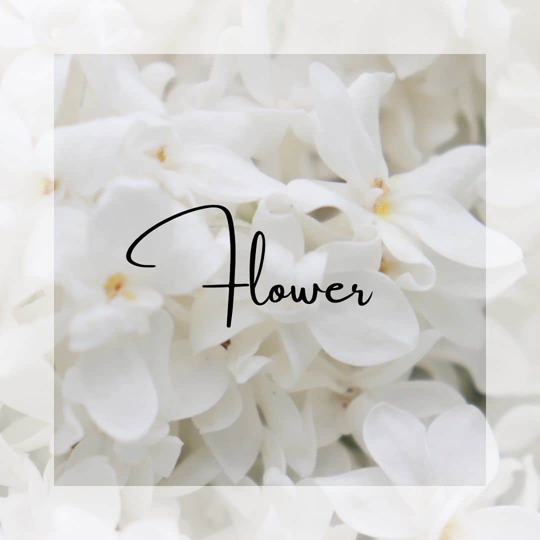 麗風つくばシーズンズテラスのインスタグラム：「Flower Coordinate💐✨  〜卓上装花からおふたりらしさを〜  会場コーディネートの印象を決める大切な要素の1つ✨ ウエディングイメージから あなたらしいコーディネートを！  ￣￣￣￣ ブライダルフェア予約や卒花レポートは 【 @rayfuu 】のトップページ【 URL 】からcheck!  ◎ブライダルフェア 料理重視必見の無料コース試食や アクセス抜群の貸切邸宅をまるごと見学 目の前には滝が流れる緑と光のチャペルは ゲストもリラックスできる開放的な空間 コロナ対策や見積もり相談等 安心できるコンテンツも盛り沢山です。 つくばで式場お探しならぜひ麗風へ。  ◎Staff Blog 気になるウエディングアイテムや 進行のアイディア、実際の結婚式のエピソード等 お役立ち情報満載です＊*  ◎Wedding Report 麗風卒花嫁様のコロナ禍でのリアルな ウエディングレポート公開中！ 今って人数どれくらいでやってるの？ 少人数ウエディングってどんな感じ？ リアル卒花レポートをぜひご覧ください♪°  ￣￣￣￣￣￣」