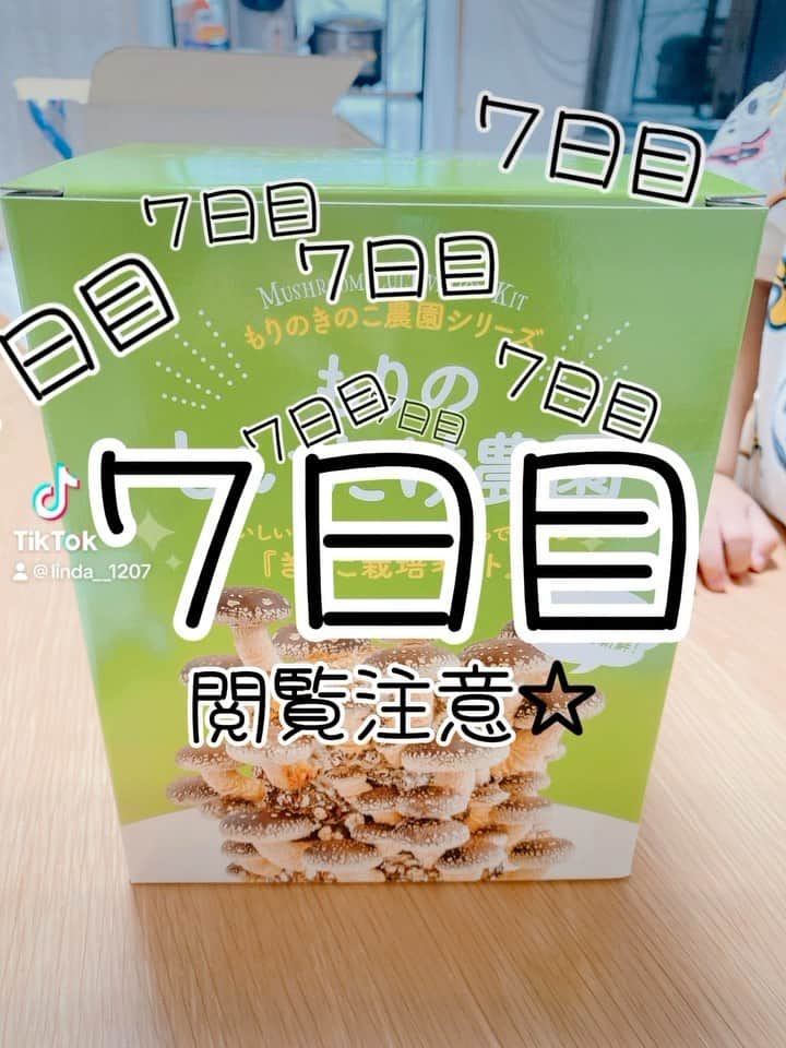 鈴木りんだのインスタグラム：「７日目です。#椎茸栽培 #嫌いな物を克服しよう計画」