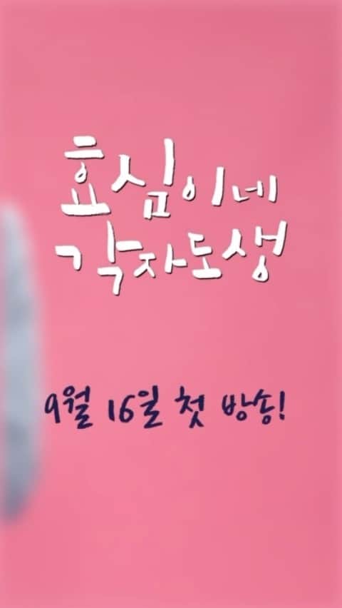 のインスタグラム：「효심이네 각자도생 많은 관심과 사랑 부탁드립니닥🫨😮‍💨🤪 #hyoshimsindependentlife」