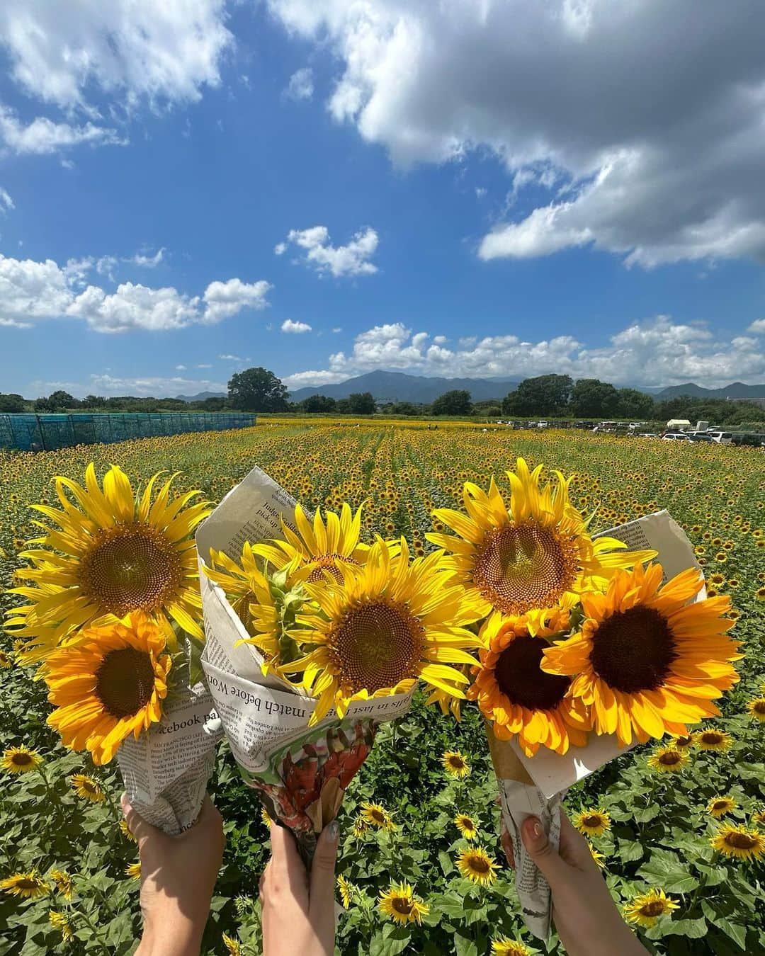 れみぱんさんのインスタグラム写真 - (れみぱんInstagram)「夏に取り残されている🌻」9月14日 18時17分 - lemipanna