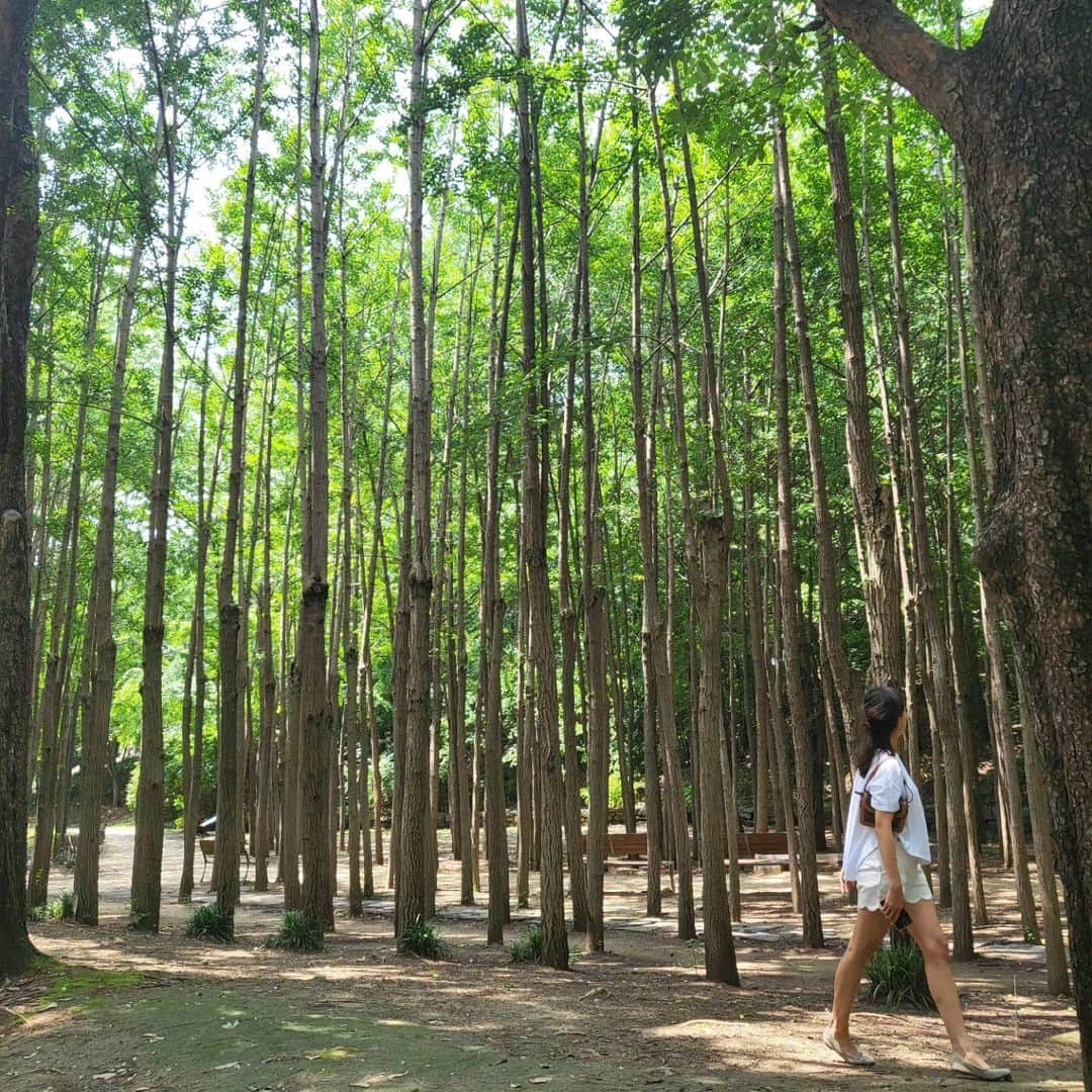 キム・ミンジョンさんのインスタグラム写真 - (キム・ミンジョンInstagram)「이토록 보통의 ,  - SUMMER '23    with dear sis 🪻」9月14日 18時17分 - min_joung_kim