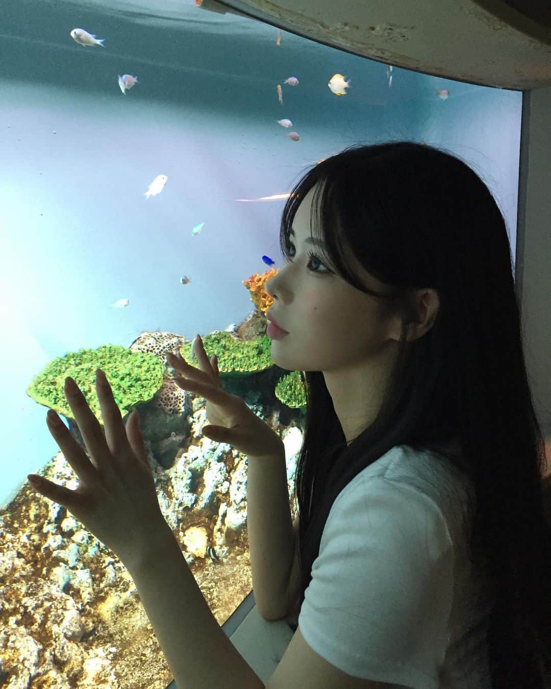 momoのインスタグラム：「°･🐠」