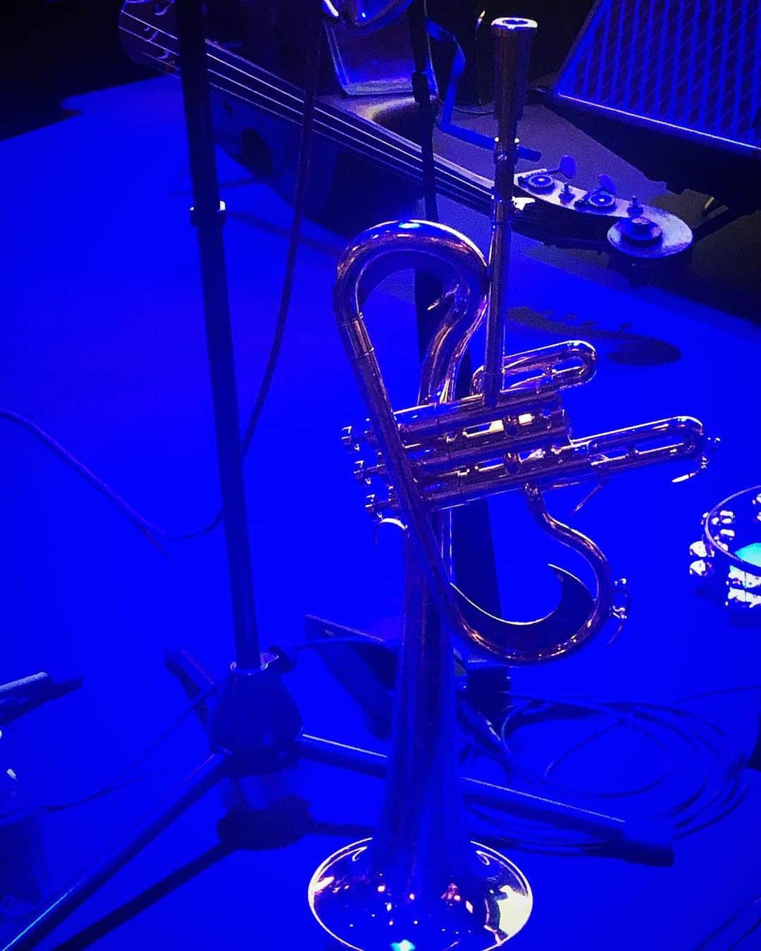 MONKYのインスタグラム：「昨夜はBlueNote TokyoにトランペッターのChiristian Scottのバンド、Chief Adjuahを観に行ってギターーー！  ニューオリンズ出身のスコットの新解釈のチャントのような音楽。 アコースティックながらもサイケデリック感なトランス感もあって心地よかった。 そこからトランペットに持ち替えての、熱いJazzなサウンドがまたカッコいい。  めっちゃ良い刺激もらった夜でした。  ばっちり充電できたところで、明日から豊橋、名古屋、高槻、大阪、淡路島、尼崎、西宮、大阪の旅。  途中でレコーディングも挟みつつ、毎日違うメンバーと様々なセッション。  今回も刺激的な旅になりそう。  各地で楽しい皆さんに会えますよーにっ！  詳しいスケジュールはプロフィールのリンクから見てみて下さい♫  楽しみましょ！！  https://ienaga2020.com/schedule/」