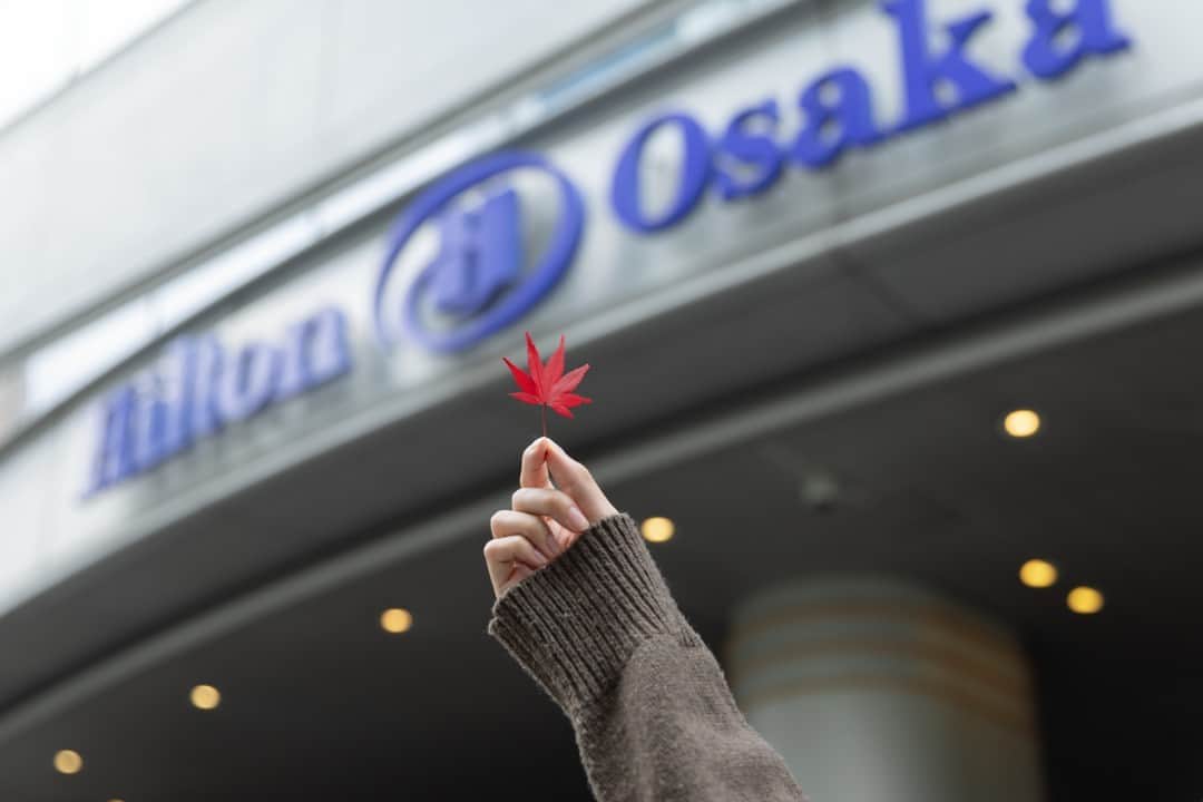 ヒルトン大阪 Hilton Osakaさんのインスタグラム写真 - (ヒルトン大阪 Hilton OsakaInstagram)「この秋の旅行は、関西でゆっくり過ごしてみませんか？🍁  大阪、京都、神戸には秋旅に最適な観光名所が点在し、紅葉や秋祭りを楽しむにはアクセスが便利なヒルトン大阪がおすすめ。  また、ヒルトン大阪のレストランでは、旬の食材がぎっしり詰まった秋のメニューをご用意しております。🍷鉄板焼、懐石、グリルやビュッフェ、そしてヒルトンスイーツ。それぞれのジャンルで秋の味覚をお楽しみいただけます🍴  ぜひヒルトン大阪で秋を満喫ください。  詳細・ご予約は @hiltonosaka ホームページより。  Why not embark on a relaxing autumn journey in Kansai region?🍁  Osaka, Kyoto, and Kobe are adorned with picturesque sights perfect for an autumn getaway, and Hilton Osaka is conveniently situated for you to relish the fall foliage and seasonal festivals.  Our restaurants at Hilton Osaka also present enticing autumn menus brimming with locally-sourced ingredients.🍷  Whether you prefer teppanyaki, kaiseki, grilled dishes, buffets, or Hilton Sweets, each culinary genre offers an array of autumnal delights.🍴  Savor the spirit of autumn at Hilton Osaka. For more details and to make a reservation, please visit our website at @hiltonosaka.  #ヒルトン大阪 #秋旅 #秋の贅沢 #秋の旅行  #ホテルステイ #秋の美食 #秋の景色 #贅沢なひととき #ホテルレストラン #hiltonosaka #autumleaves #autum #OsakaTrip」9月14日 18時30分 - hiltonosaka