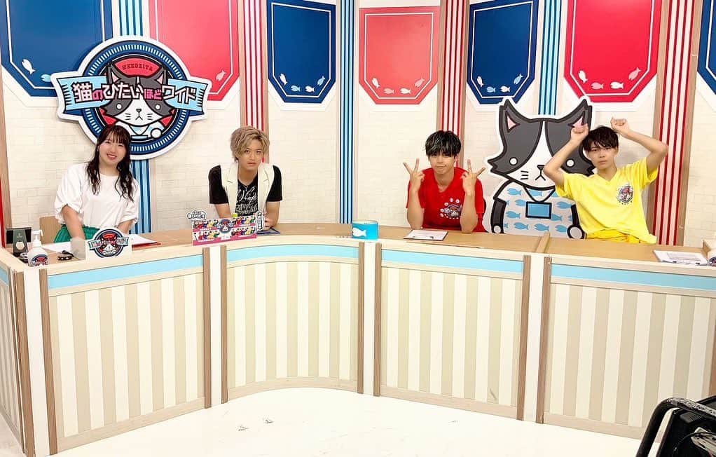 猫のひたいほどワイドのグルメインスタ