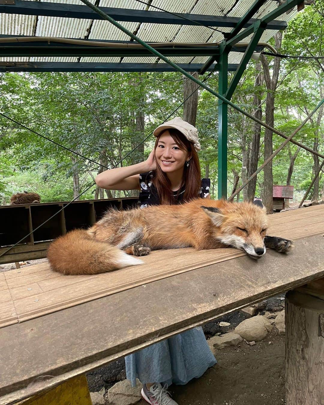 にゃんさんゴルフさんのインスタグラム写真 - (にゃんさんゴルフInstagram)「夏の毛換期だから モフモフきつねではない🦊🦊  白い子狐の抱っこ体験も🤣  #きつね#蔵王きつね村#毛換期  #きつねダンス#夏旅#宮城旅行#fox」9月14日 18時43分 - miiiii0228