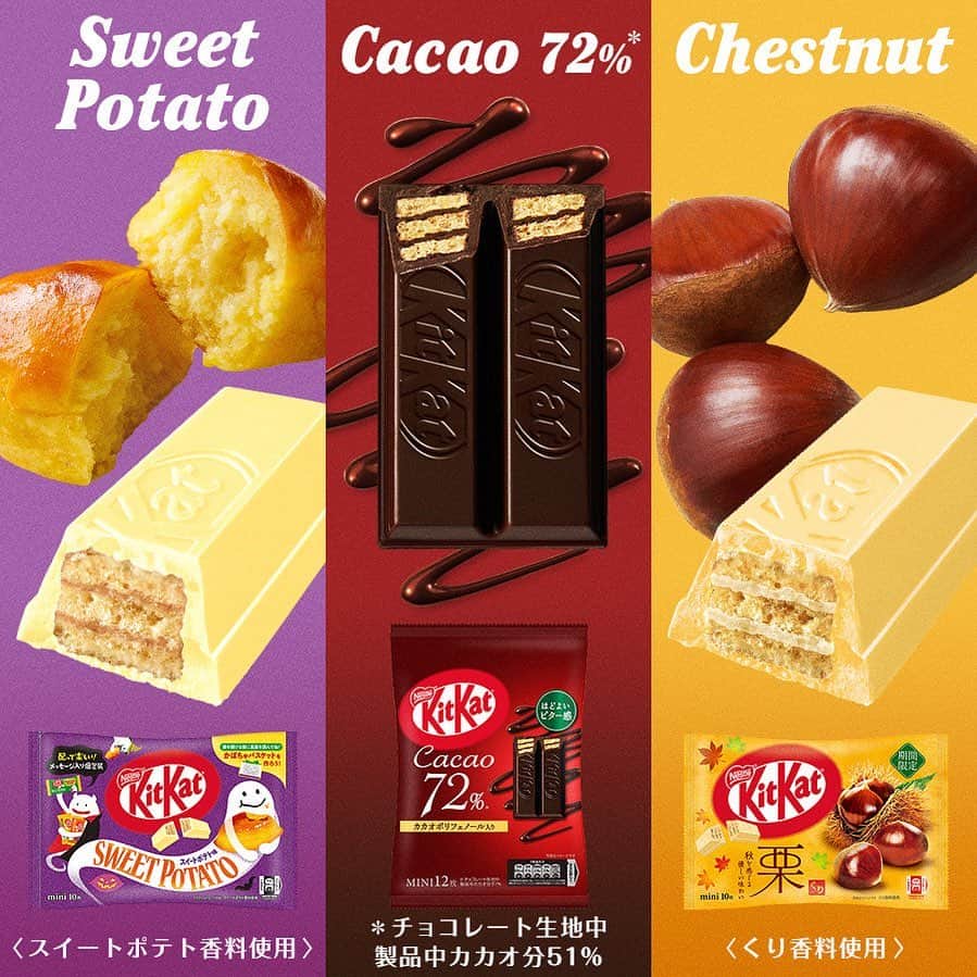 のインスタグラム：「【コメントから教えて😉🍫】  『一番美味しそうな“キットカット”はどれ✨？』  新発売 #キットカット 大集合〜🤎🤎🤎  あれもこれも美味しそうだけれど... 一番美味しそう！食べてみたい！って思うのはどれ🤤？  🍠 スイートポテト味 🍫 カカオ72% 🌰 栗  コメントで教えて〜👇💭  ┈┈┈┈┈┈┈┈┈┈┈┈┈┈ #kitkat #break #ブレイク #チョコレート #ウエハース #サクサク #ザクザク #チョコレート好き #チョコレート好きと繋がりたい #チョコレート好きな人と繋がりたい #チョコレート大好き #おやつじかん #期間限定 #新発売 #栗 #マロン #スイートポテト」