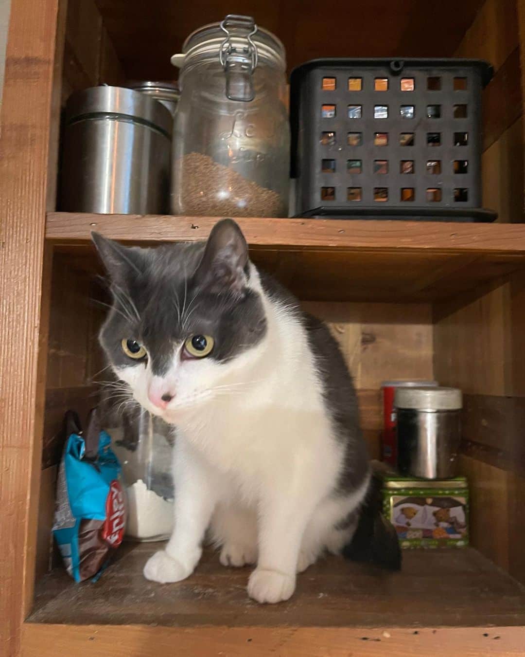 メイム・ビアリクのインスタグラム：「Helping me bake! 😻👩‍🍳」