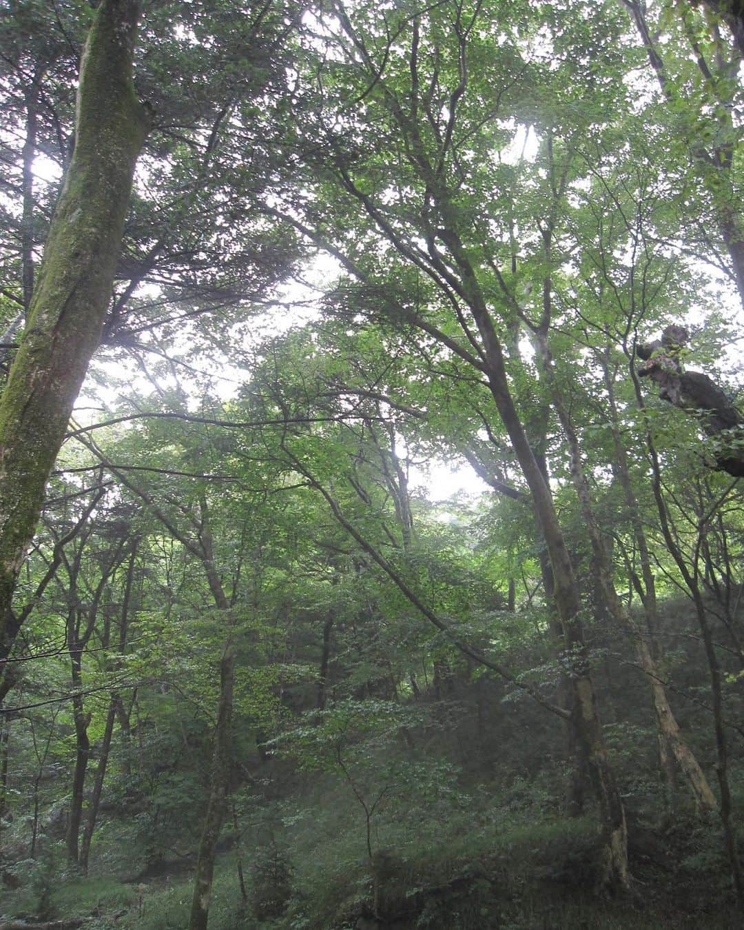 内山優花さんのインスタグラム写真 - (内山優花Instagram)「．  こないだ自然たくさん感じてきた〜🌳 木と川溢れてて空気が美味しすぎたのと 大好きなキャンドルをオリジナルで 作れて幸せだったの🍀♡」9月14日 21時32分 - yuka3l7