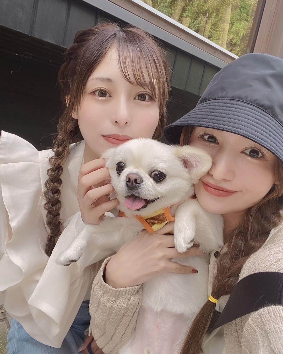 星奈あいのインスタグラム：「ゆあち(@_namaniku_ )と軽井沢ドライブ🚗🍃  ずーっと会いたかっただいふく🐶 ずっと大人しく膝に乗っててくれて おともだちになった！はず🫶💛 かわいかった〜🌷  髪型みつあみでお揃いになったのすごい！！💎 うんめい〜✨✨  ゆあちもだいふくも またドライブいこね🐶💗💗  #だいふく #星奈あい #ゆあち #軽井沢 #軽井沢ドライブ #おさんぽ🐾」