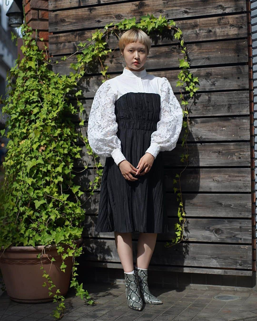 PUNK CAKEのインスタグラム：「🪬NEW ARRIVAL🪬  こちらの オンラインショップの発売は 9/16(土)20:00〜STARTです☞  ▫︎ Lace volume sleeve blouse ▫︎ Betsey Johnson black dress  そして、 9/16.17.18の3連休 オンラインショップ限定 ⏰TIME SALE⏰ 全品20％OFF！！ （新商品は除外） お買い得に秋のアイテムGETして下さい❣️ お見逃しなく！  model / @morioka_no_momooka」