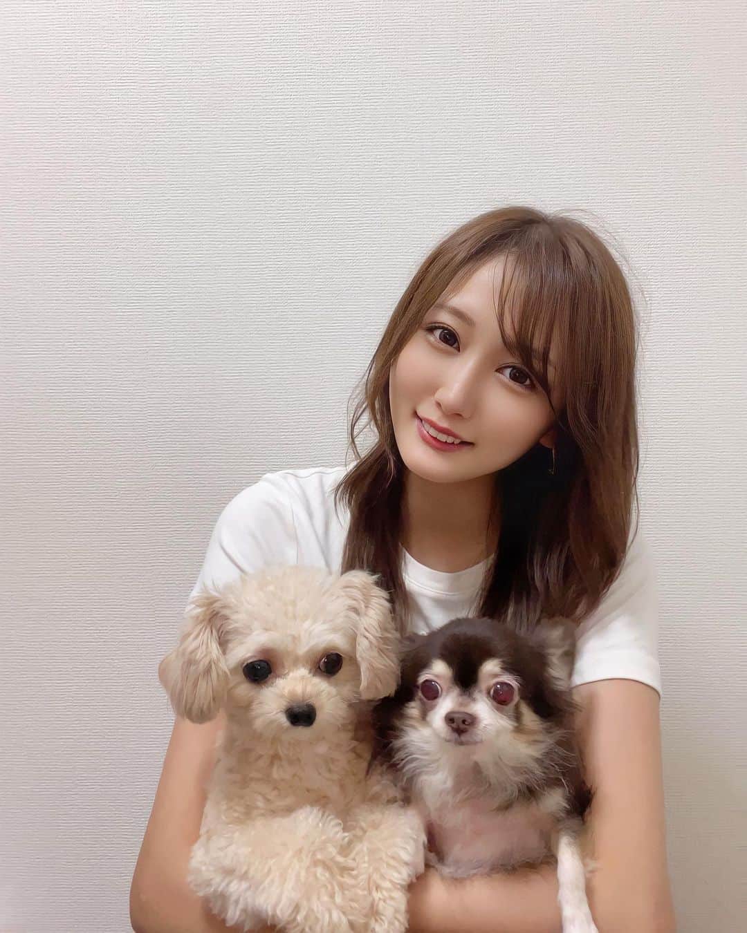 七瀬美月のインスタグラム：「今日の こぐまろ🐾🐾💜  明日は雨降る前に☔️行動したいな⸜ ♡ ⸝  #今日のいぬ#チワワ#チワプー #いつも面白くてありがとう #こぐまろ#多頭飼い」