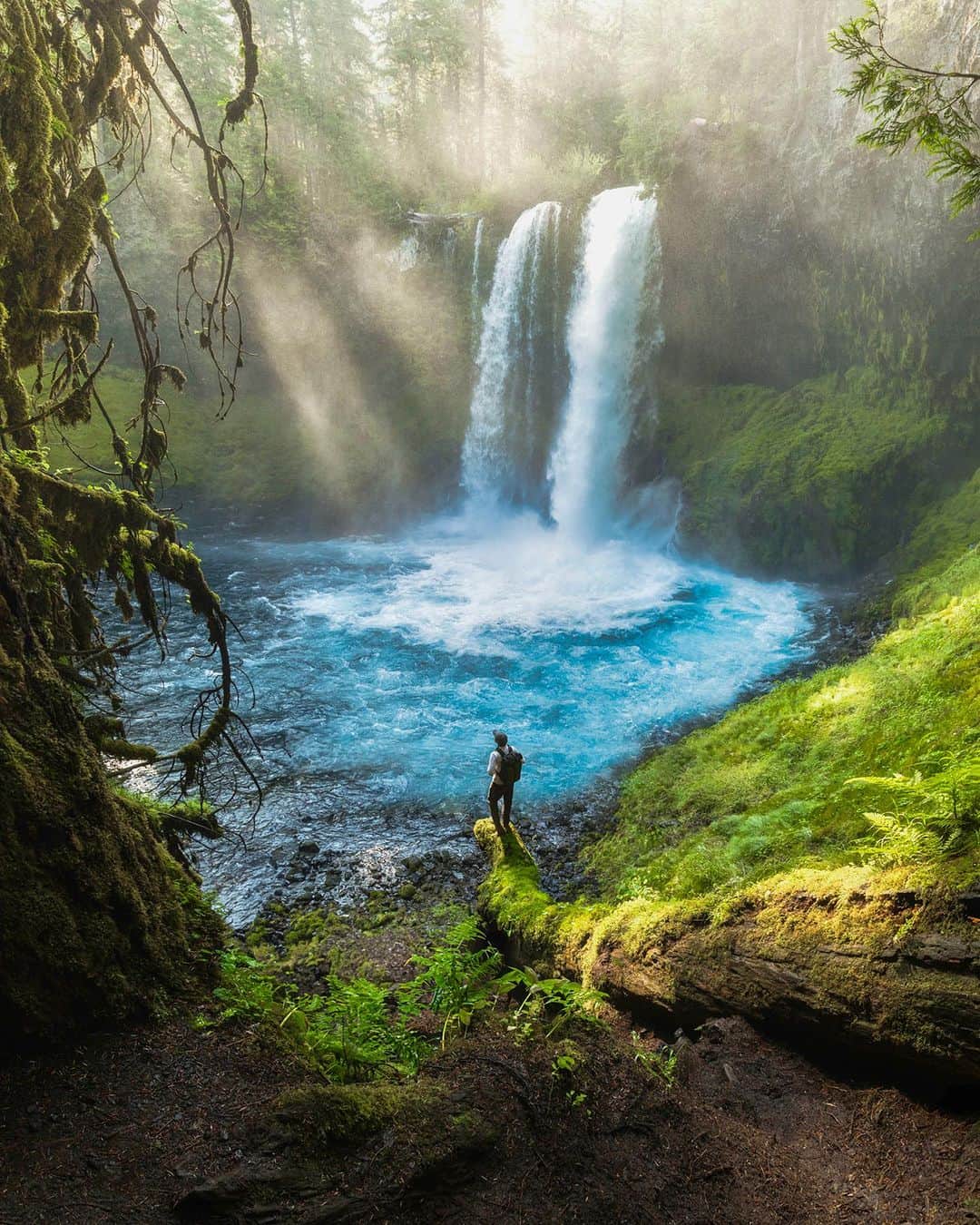 BEAUTIFUL DESTINATIONSのインスタグラム：「@michaelfoosh explores the enchanting beauty of Cascadia in Oregon! 🌿 Did you know that as well as Cascadia being home to some of the world's tallest trees, it's also aptly named for its abundance of waterfalls? 🌳🌲  📽 @michaelfoosh 📍 Cascadia, Oregon, USA 🎶 daniel.mp3 - green to blue」