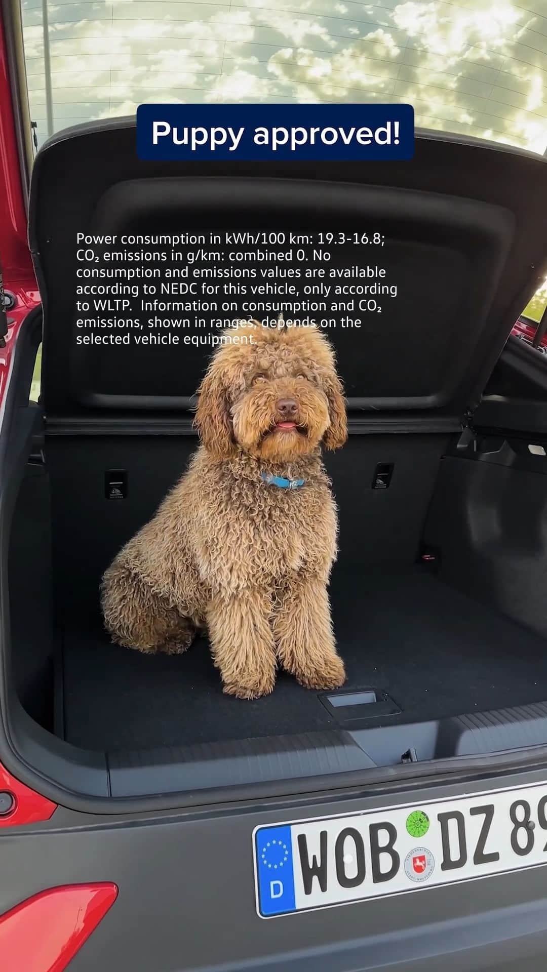 フォルクスワーゲンのインスタグラム：「Puppy approved. 🐶 #puppy #love #WayToZero #VolkswagenWayToZero #vwid5 #volkswagen #vw  The vehicle displayed shows optional equipment.」
