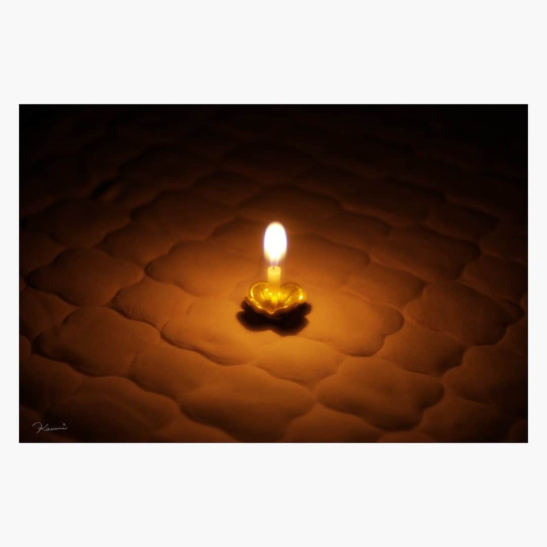 のインスタグラム：「タンバールの場合。 一番寄ってこの大きさ。  Leica M10-P thambar 90mm f2.2  #leica#leicam10p#thambar90mm#thambar#oldlens#オールドレンズ#tokyo#japan#oldlens_tokyo#花澄#kazumiphotography」