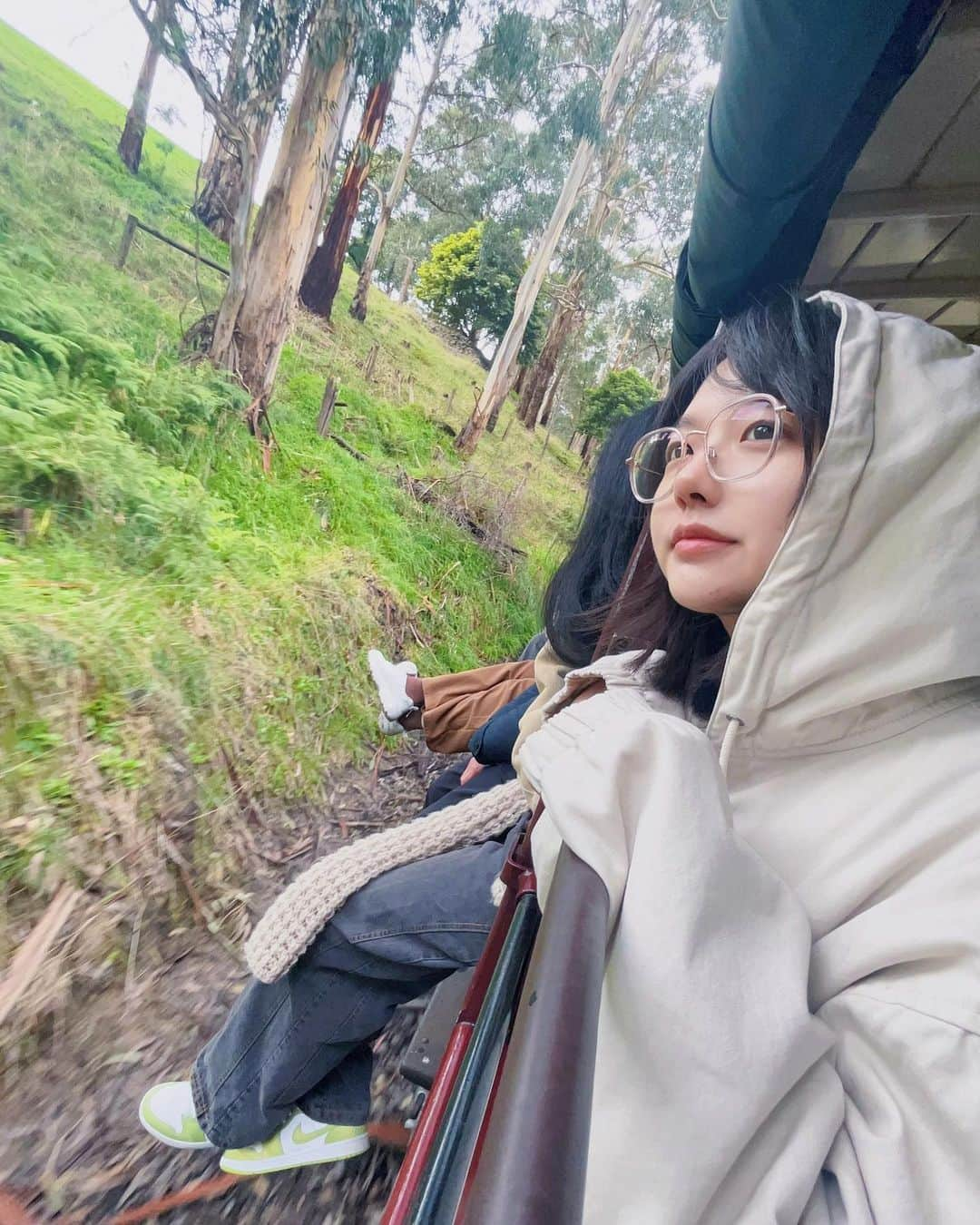 樱群さんのインスタグラム写真 - (樱群Instagram)「🌲」9月15日 3時06分 - sakura.gun