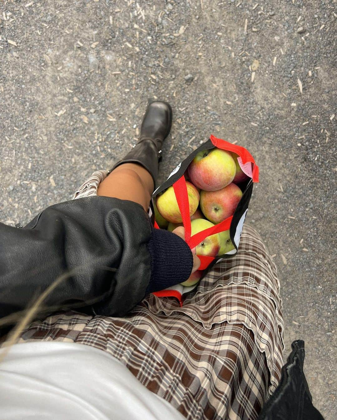 Alex Centomoさんのインスタグラム写真 - (Alex CentomoInstagram)「Apple picking round 1 🍎🥧🧺🍂」9月15日 3時08分 - alexcentomo