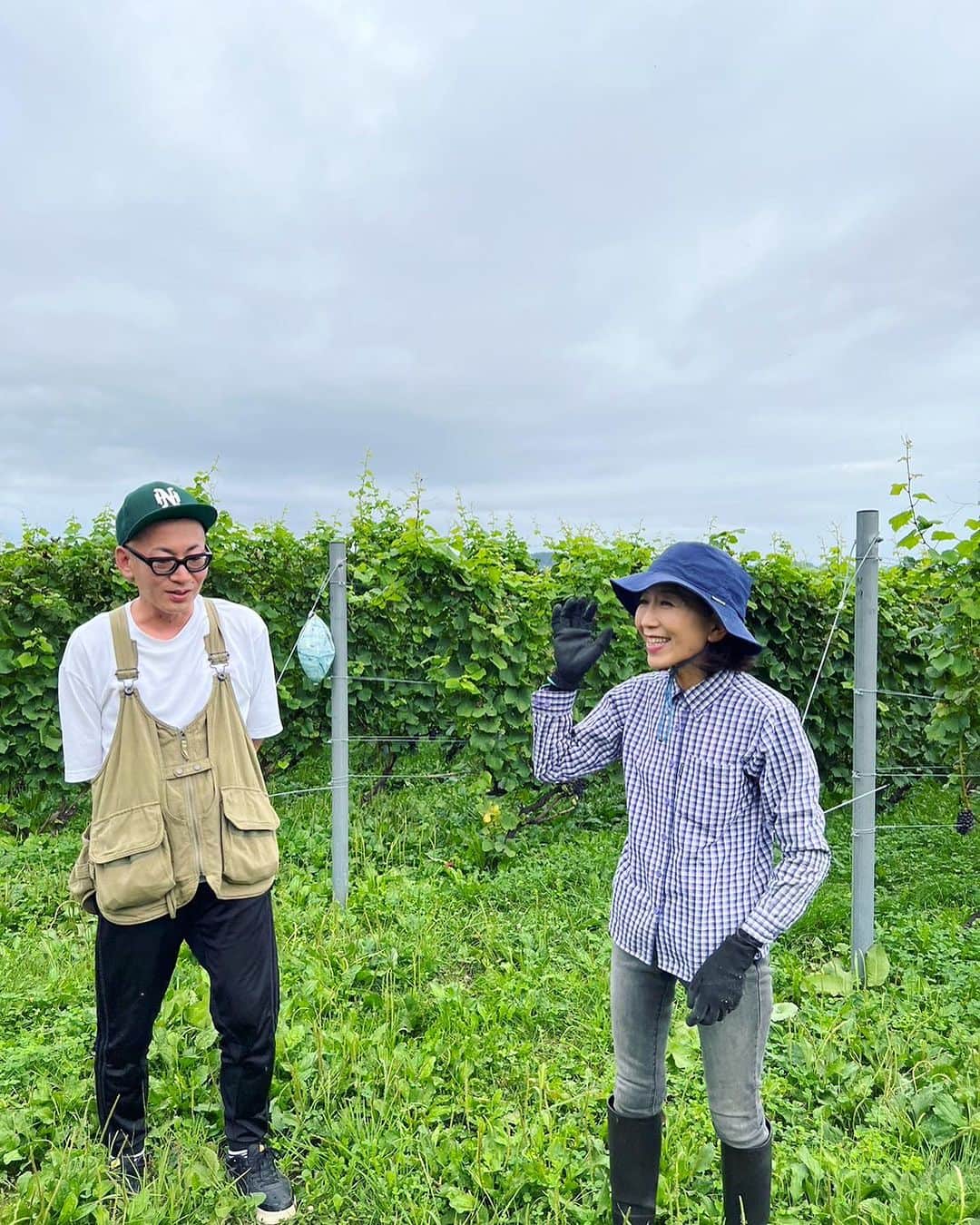 ひぐち君さんのインスタグラム写真 - (ひぐち君Instagram)「北海道岩見沢市栗沢町 「イレンカ」ヴィンヤード 永井邦代さん🍷🍷  2012年にスタート🌿 10Rワイナリーのすぐ側の畑は0.8ha🧑‍🌾 ピノノワール8種のクローンを栽培しています🍇🍇 キムラクローンも発見😁 仕立ては、ギヨーサンプル🌿 ちなみに、ブドウ鋏はカニを食べるときにも便利なんだそうです😁😁😁  作業中にも関わらず、お時間をいただきましてありがとうございました🙏🙏  #IRENKA #イレンカ #北海道 #岩見沢市 #栗沢町  #スギモト酒店  #日本ワイン 🇯🇵 #japanesewine #vinjaponais  #일본와인 #日本葡萄酒  #wine #vin #vino #wein #vinho  #와인 #葡萄酒 #ワイン #tokyo 🗼 #余市町ワイン大使 🍷 #北海道新聞 📰 https://www.hokkaido-np.co.jp/article/898863/ #髭男爵ひぐち君の語る日本ワインサロン 📚 https://amzn.to/3DBTsSl #ひぐち君の日本ワイン会 💻 https://bit.ly/2KJ9DQy @higehiguchi」9月15日 3時40分 - higehiguchi
