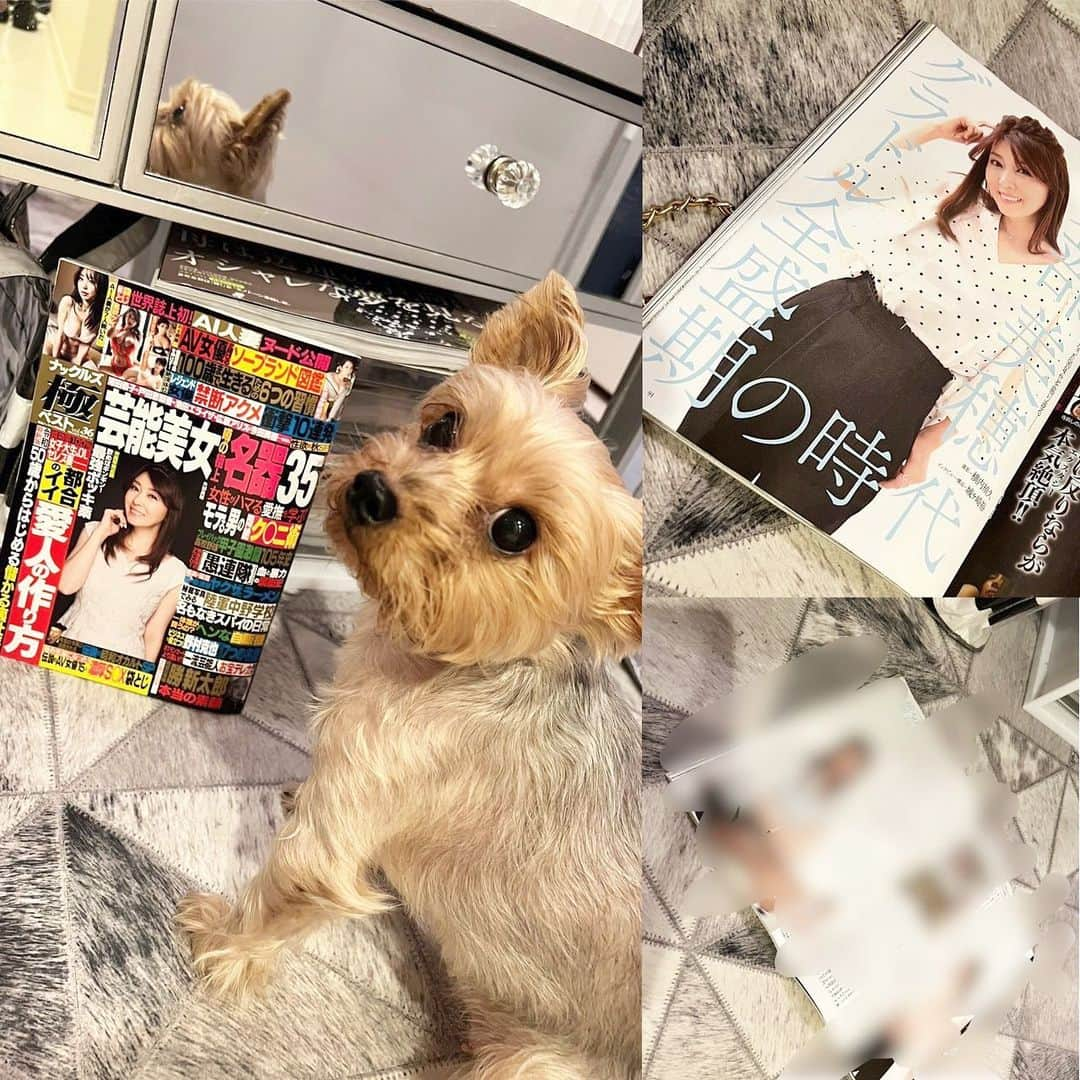 矢部美穂さんのインスタグラム写真 - (矢部美穂Instagram)「今日発売のナックルズ極ベストの表紙とインタビュー３ページ掲載されていますので是非ご覧ください✨  それにしても山林堂騎手今開催も2勝出来たし掲示板率も高くて嬉しい私✨ 近所川崎競馬場観戦模様もYouTube『矢部美穂チャネル』で公開されますのでお楽しみっ🩷  #ナックルズ #極ベスト #表紙 #インタビュー記事  #矢部美穂チャンネル #youtubeはじめました  #40代 #矢部美穂」9月15日 15時43分 - miho.yabe.0607