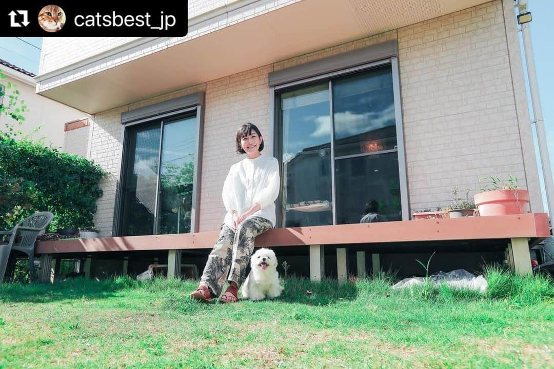 小野真弓さんのインスタグラム写真 - (小野真弓Instagram)「こんにちにゃ☺️ アオくんです🐯🐾  匂わない✨天然素材で優しい✨ ぼくたちのお気に入りの猫砂 キャッツベストさんと、おかーさんの タイアップインタビュー😆🐾  @equall.jp  @catsbest_jp   ついにぼくは〜 おかーさんとトップ写真に＼(^ω^)／💙  ナナちゃんは〜 おトイレ実演にゃ🐯🎀🩷 ぼくたち兄妹大活躍にゃよ😆🐾  ちりんくんも存在感抜群🐼🖤 くーちゃんはこっそり愛用中🐈‍⬛❤🤫 さすが！わんこ代表、ハル兄ちゃんも映えてます🐏💛  ストーリーズとハイライトに リンク貼りましたので 是非チェックしてにゃん😆  最近、べったりんこが過ぎる 抱っこ大好き💕 アオくんでちた(*^ω^*)🐾  #Repost @catsbest_jp with @use.repost ・・・ キャッツベストが小野真弓さんとタイアップし、本日インタビュー記事が公開されました！ @hanaharuaroi  equallLIFE【キャッツベスト特別インタビュー】 保護猫たちとの出会いと保護活動への想い｜タレント小野真弓  👇アクセスはこちら👇 https://media.equall.jp/archives/26222  小野さんは芸能活動をしながら、トリマー資格を取得し、積極的に保護活動を行っています🐈  今回のインタビューでは、小野さんの猫ちゃん・わんちゃんとの普段の生活や、保護活動についてのお話をじっくりと伺いました💚  さらに、ご愛用頂いているキャッツベストの使用感についても教えて頂きましたので、ぜひ最後までお楽しみください🐾  #小野真弓 さん #犬と猫のいる暮らし #キャッツベスト #catsbest #猫砂 #猫トイレ #猫砂ジプシー #猫 #ねこ #ネコ #ぬこ #子猫 #こねこ #保護猫 #元保護猫 #猫好きさんと繋がりたい #猫がいる幸せ #ねこのいる生活 #ねこのいる暮らし #ねこのきもち  写真 Hiroyuki Igarashi @igarashi_hiroyuki_genshow」9月15日 15時07分 - hanaharuaroi