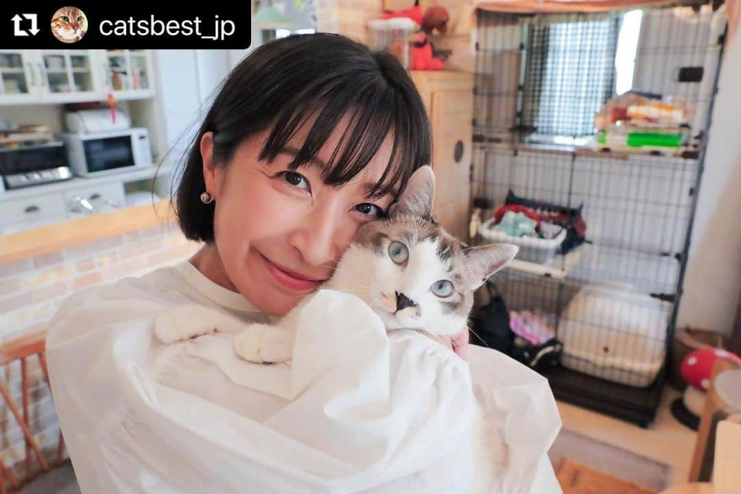 小野真弓さんのインスタグラム写真 - (小野真弓Instagram)「こんにちにゃ☺️ アオくんです🐯🐾  匂わない✨天然素材で優しい✨ ぼくたちのお気に入りの猫砂 キャッツベストさんと、おかーさんの タイアップインタビュー😆🐾  @equall.jp  @catsbest_jp   ついにぼくは〜 おかーさんとトップ写真に＼(^ω^)／💙  ナナちゃんは〜 おトイレ実演にゃ🐯🎀🩷 ぼくたち兄妹大活躍にゃよ😆🐾  ちりんくんも存在感抜群🐼🖤 くーちゃんはこっそり愛用中🐈‍⬛❤🤫 さすが！わんこ代表、ハル兄ちゃんも映えてます🐏💛  ストーリーズとハイライトに リンク貼りましたので 是非チェックしてにゃん😆  最近、べったりんこが過ぎる 抱っこ大好き💕 アオくんでちた(*^ω^*)🐾  #Repost @catsbest_jp with @use.repost ・・・ キャッツベストが小野真弓さんとタイアップし、本日インタビュー記事が公開されました！ @hanaharuaroi  equallLIFE【キャッツベスト特別インタビュー】 保護猫たちとの出会いと保護活動への想い｜タレント小野真弓  👇アクセスはこちら👇 https://media.equall.jp/archives/26222  小野さんは芸能活動をしながら、トリマー資格を取得し、積極的に保護活動を行っています🐈  今回のインタビューでは、小野さんの猫ちゃん・わんちゃんとの普段の生活や、保護活動についてのお話をじっくりと伺いました💚  さらに、ご愛用頂いているキャッツベストの使用感についても教えて頂きましたので、ぜひ最後までお楽しみください🐾  #小野真弓 さん #犬と猫のいる暮らし #キャッツベスト #catsbest #猫砂 #猫トイレ #猫砂ジプシー #猫 #ねこ #ネコ #ぬこ #子猫 #こねこ #保護猫 #元保護猫 #猫好きさんと繋がりたい #猫がいる幸せ #ねこのいる生活 #ねこのいる暮らし #ねこのきもち  写真 Hiroyuki Igarashi @igarashi_hiroyuki_genshow」9月15日 15時07分 - hanaharuaroi