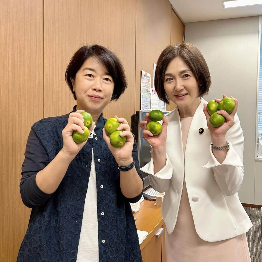 生稲晃子さんのインスタグラム写真 - (生稲晃子Instagram)「三重県御浜町の極早生みかん「みえの一番星」を、同期の山本佐知子議員にいただきました🍊 爽やかな香りがしてとても美味しかったです。 農業基本法、25年ぶりの改正に向けてしっかり取り組み、農家の皆様を応援させていただきます❗️  #三重県御浜町 #みえの一番星 #山本佐知子議員 #農業基本法 #生稲晃子」9月15日 15時24分 - akiko__ikuina