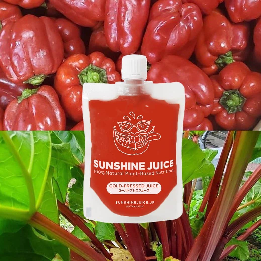 Sunshine Juiceのインスタグラム：「シーズナルジュース「ルバーブアンドパプリカ」ができました☀️  信州八ヶ岳のサンフレンド農園さんから届くルビールバーブと京都の山野邉さんが育てた無農薬赤パプリカのジュースです。 ルバーブは日本では珍しいですが欧米では古くから親しまれている野菜です。 爽やかな酸味があり、ビタミンCやカリウムが豊富な他、眼精疲労や老眼に良いと言われるアントシアニンがたっぷり！ パプリカの中でも特に栄養価の高い赤パプリカは実はβカロテンもビタミンCもピーマンの2倍！ 色素成分カプサンチンには強い抗酸化作用や善玉コレステロールを増やす働きがあり、生活習慣病の改善も期待できます。 どちらも驚くほど鮮やかな色のジュースが搾れました！ 味も最高なので、是非お試しください。 オンラインショップにて6本セットを販売中！ 元気の出る赤いジュースで夏の間にたまった疲れを吹き飛ばしてください。  ※ルバーブに含まれる成分「センノシド」に子宮収縮作用があると言われていますので、妊娠中授乳中の方はお控えください。  #stayjuicy#sunshinejuice#サンシャインジュース#coldpreesedjuice#juicecleans#detox#コールドプレスジュース#クレンズ#ジュースクレンズ#ダイエット#断食#腸活#腸内環境#置き換え#ファスティング#デトックス#ルバーブ#パプリカ#シーズナルジュース」