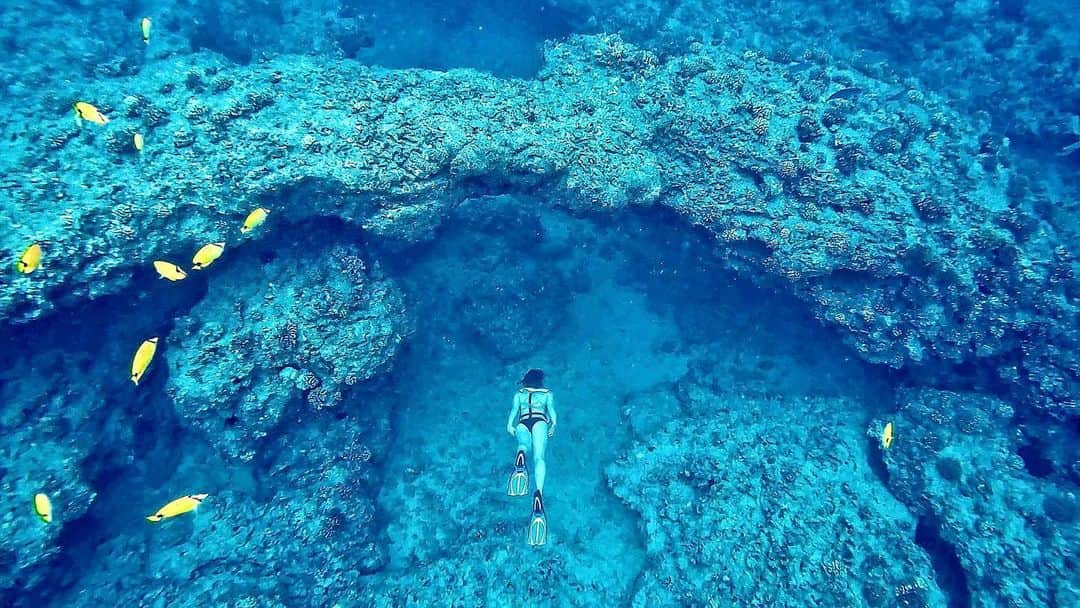 藤巻紗月のインスタグラム：「いろんなスポットで泳げて幸せだな🐠🐬🐢 #hawaii #oahu  #freedive」