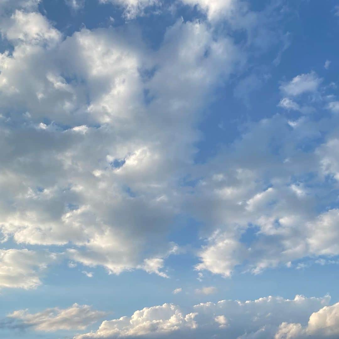 音くり寿さんのインスタグラム写真 - (音くり寿Instagram)「😶💭」9月15日 7時10分 - otokurisu