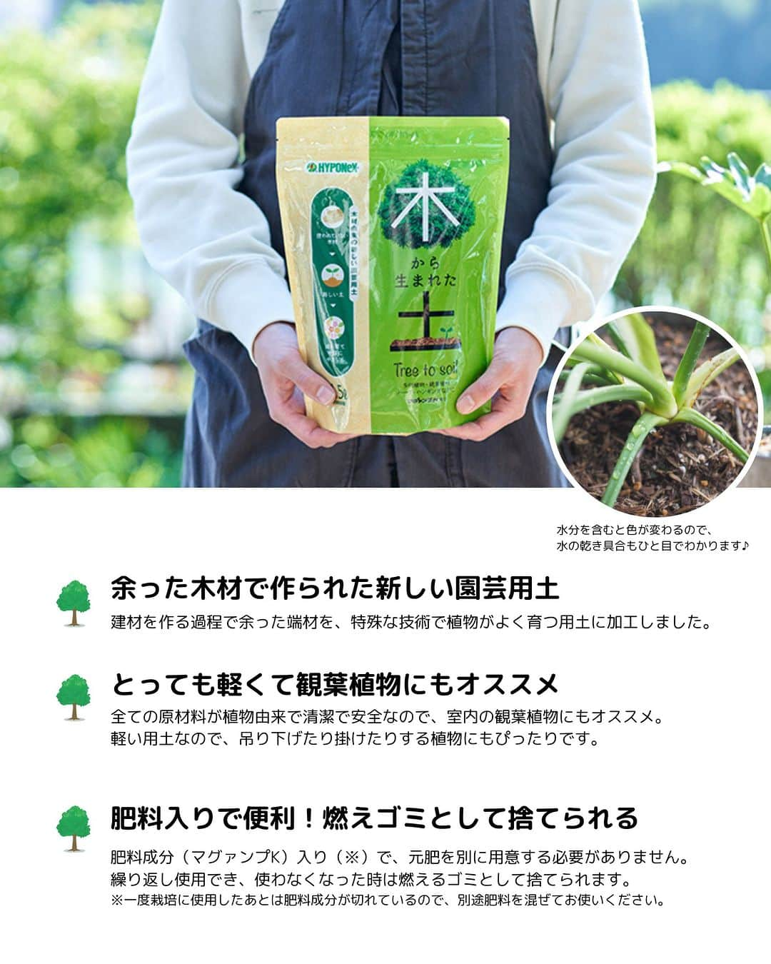 LOVEGREEN -植物と暮らしを豊かに。さんのインスタグラム写真 - (LOVEGREEN -植物と暮らしを豊かに。Instagram)「🌿モニター募集のお知らせ🌿  「木から生まれた土」は、建材を作る過程で余った端材を、特殊な技術で植物がよく育つ用土にアップサイクルしたアタラシイ園芸用土。本来捨てられるはずだった木材が、次の植物を育む土として生まれ変わりました。  環境配慮の観点だけでなく、機能面でも魅力がいっぱいなのです✨  🌲とっても軽くて清潔で室内の観葉植物にオススメ 🌲軽い土なので吊り下げて飾りたい時にもぴったり 🌲肥料入りで便利！ 🌲不要になれば燃えるゴミとして捨てられる 🌲水の乾き具合が分かりやすい 🌲工夫次第で鉢穴のない器でも使える  今年誕生したアタラシイ園芸用土で、本格的な寒さがやってくる前に、観葉植物の植え付け・植え替え、寄せ植えなどをしてみませんか？  ＝＝＝＝＝＝＝＝＝＝＝＝＝＝＝＝＝＝＝＝＝＝＝＝  ▼応募期間 2023.９.15（金）～9.21（木）  ▼応募条件 ❶9月～10月中に「木から生まれた土」を使った観葉植物の植え付け・植え替え、寄せ植えなどの投稿をしていただける方。  ❸投稿の際に以下ハッシュタグ／メンションをお願いいたします。 ↓ #木から生まれた土 #モニター @hyponex_japan @lovegreen_official  ※フィード投稿はマスト、ストーリーズ・リール動画などは可能な 範囲でお願いします。 ※投稿写真は、LOVEGREEN記事／公式SNSで使用させていただくことがあります。  ▼応募方法 ①本アカウントをフォロー ②コメント欄に一言で応募完了！  ▼当選人数 10名様  ▼選考 社内選考の上、インスタグラムのDMにて ご連絡させていただきます  ＝＝＝＝＝＝＝＝＝＝＝＝＝＝＝＝＝＝＝＝＝＝＝＝  本応募は締め切りました。当選者の方には後日DMでご連絡させていただきます。たくさんのご応募ありがとうございました！   #観葉 #観葉植物 #観葉植物好き #観葉植物初心者 #観葉植物のある家 #観葉植物インテリア #観葉植物のある生活 #観葉植物のある暮らし #観葉植物好きな人と繋がりたい #モニター #モニター募集 #モニター企画 #植物 #植物生活 #植物と暮らす #植物のある生活 #植物のある暮らし #植物好きと繋がりたい #植物好きな人と繋がりたい」9月15日 9時00分 - lovegreen_official