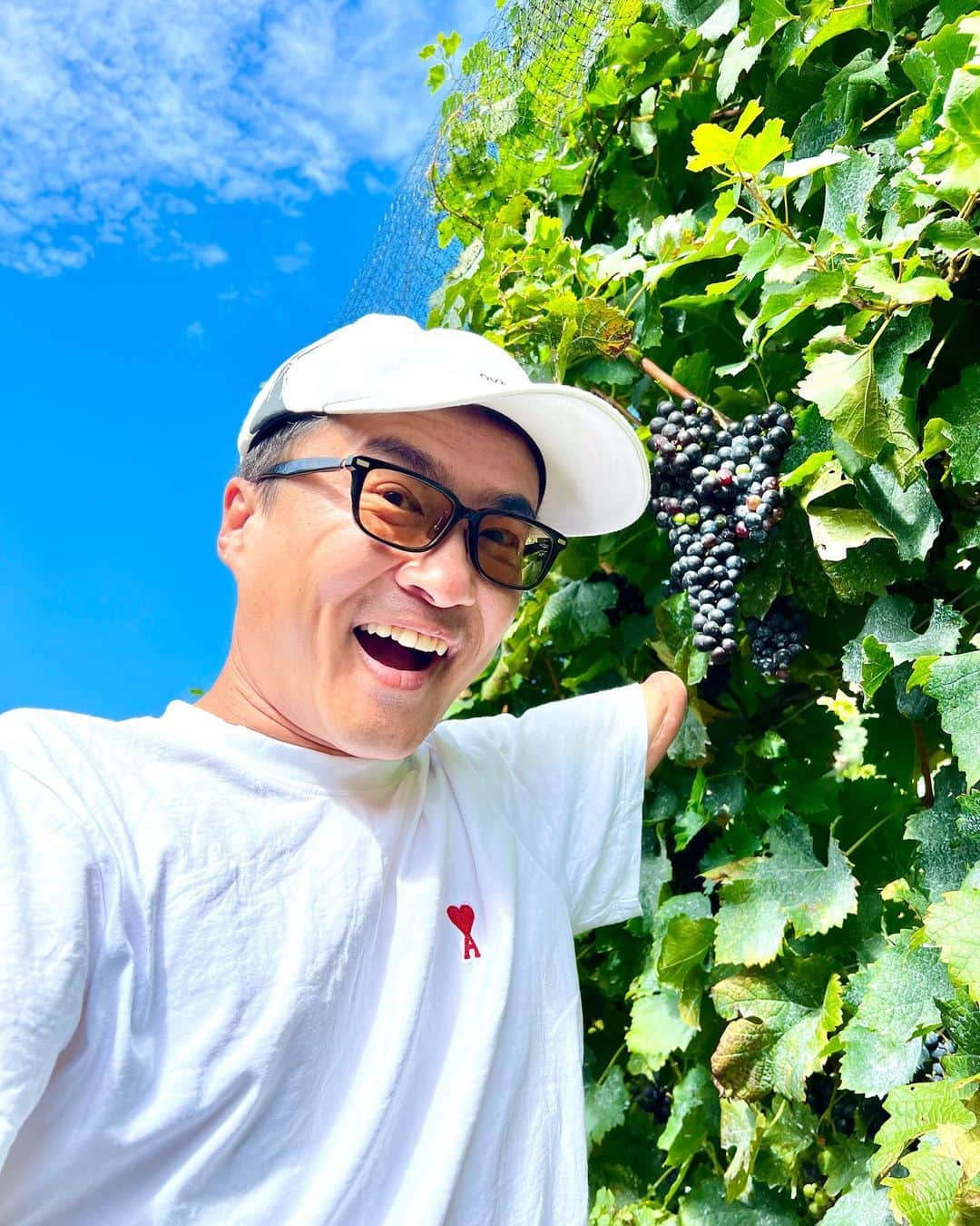 乙武洋匡のインスタグラム：「かれこれ15年通い続けている #小豆島 に #ワイナリー が誕生。ブドウの栽培から醸造まで行っていると聞いては、訪れないわけにいきません。  乙武塾のメンバーと一緒に、この日はブドウの収穫体験。みんなでハサミを手にして、一つ一つ丁寧に摘み取り、カゴに入れていきます。  とにかく見晴らしのいい高台にあって、青い海と青い空が同時に楽しめる絶景。「こんなところで育つブドウたちは幸せ者だなあ」なんて感じてしまいました。  貴重な体験をさせてくださった @224winery のみなさま、本当にありがとうございました🍇🍷✨」