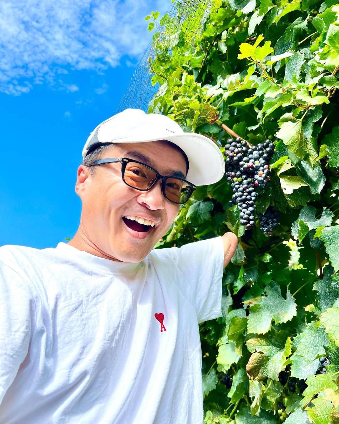 のインスタグラム：「かれこれ15年通い続けている #小豆島 に #ワイナリー が誕生。ブドウの栽培から醸造まで行っていると聞いては、訪れないわけにいきません。  乙武塾のメンバーと一緒に、この日はブドウの収穫体験。みんなでハサミを手にして、一つ一つ丁寧に摘み取り、カゴに入れていきます。  とにかく見晴らしのいい高台にあって、青い海と青い空が同時に楽しめる絶景。「こんなところで育つブドウたちは幸せ者だなあ」なんて感じてしまいました。  貴重な体験をさせてくださった @224winery のみなさま、本当にありがとうございました🍇🍷✨」