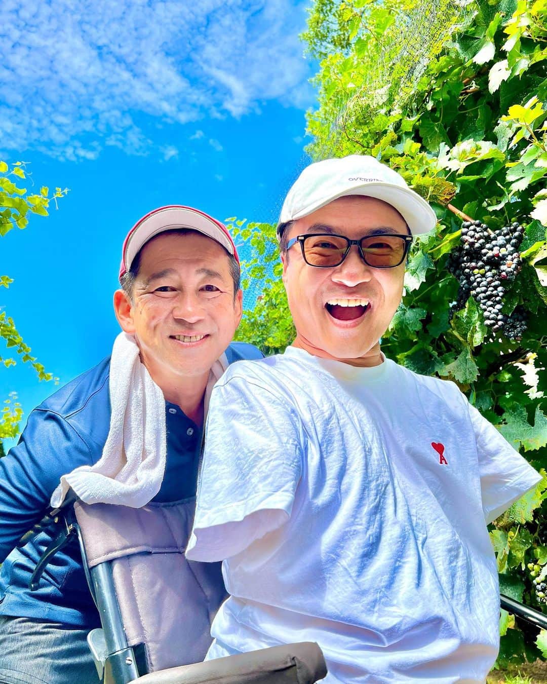 乙武洋匡さんのインスタグラム写真 - (乙武洋匡Instagram)「かれこれ15年通い続けている #小豆島 に #ワイナリー が誕生。ブドウの栽培から醸造まで行っていると聞いては、訪れないわけにいきません。  乙武塾のメンバーと一緒に、この日はブドウの収穫体験。みんなでハサミを手にして、一つ一つ丁寧に摘み取り、カゴに入れていきます。  とにかく見晴らしのいい高台にあって、青い海と青い空が同時に楽しめる絶景。「こんなところで育つブドウたちは幸せ者だなあ」なんて感じてしまいました。  貴重な体験をさせてくださった @224winery のみなさま、本当にありがとうございました🍇🍷✨」9月15日 9時20分 - ototake_official