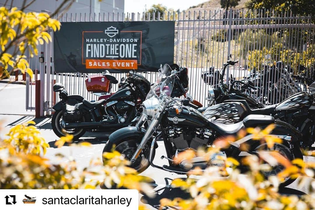 ロバート・パトリックさんのインスタグラム写真 - (ロバート・パトリックInstagram)「#Repost @santaclaritaharley with @use.repost ・・・ Thank you to everyone who joined us at our Open Roads I Open House event this past weekend! Your presence made it a roaring success, and we couldn't be more thrilled. Stay tuned for more exciting events and news, as we rev up for the journey towards the end of 2023.⁠ ⁠ #santaclaritaharley #separatefromthepack #harleydavidson」9月15日 9時50分 - ripfighter