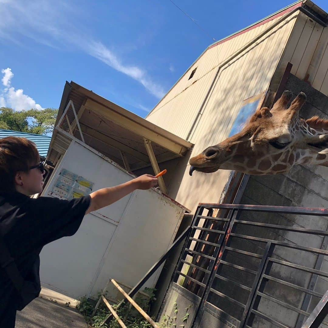 小野崎玲皇さんのインスタグラム写真 - (小野崎玲皇Instagram)「キリンにエサあげた🦒」9月15日 15時47分 - leo_onozaki