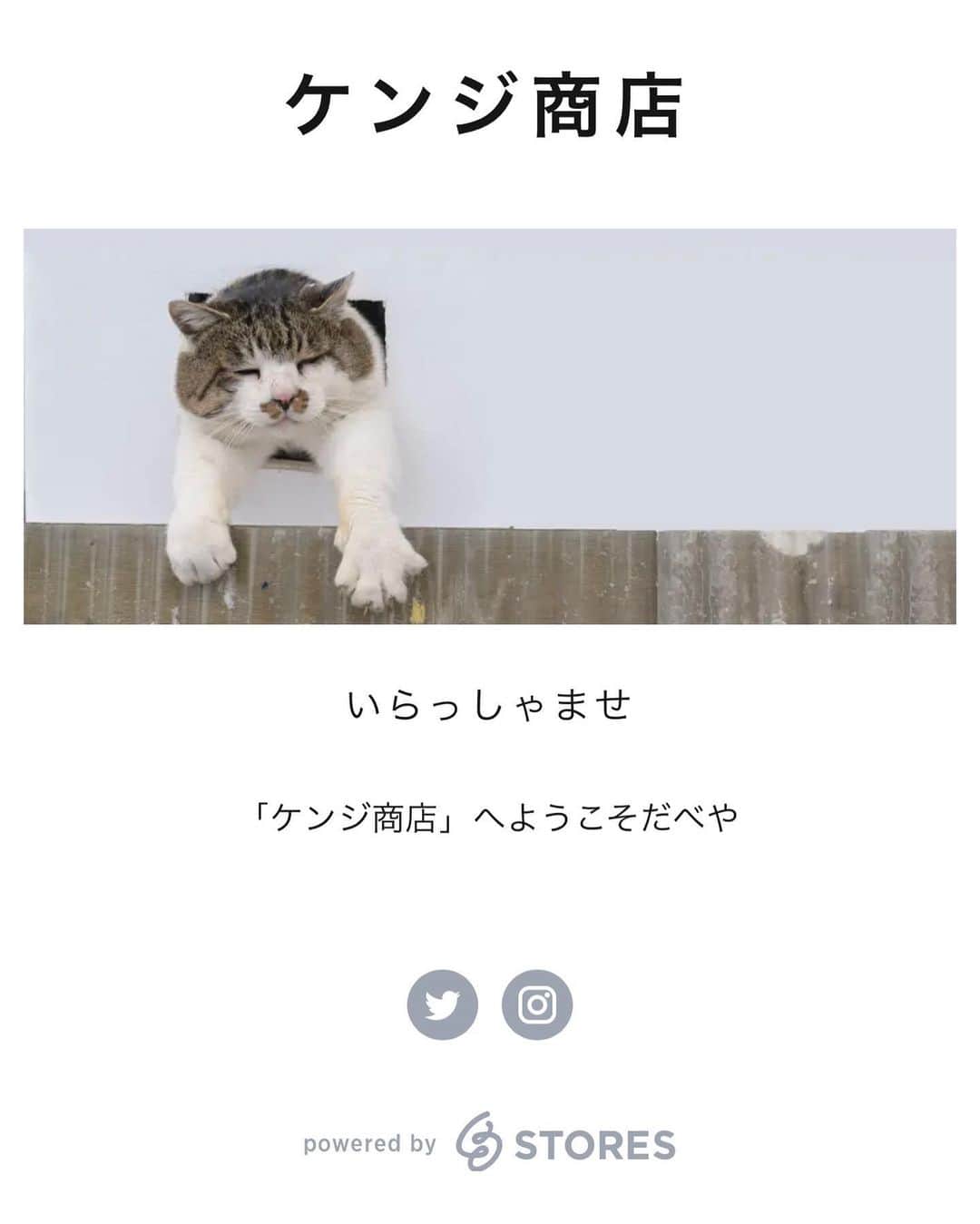土肥美帆さんのインスタグラム写真 - (土肥美帆Instagram)「😺 ⚡︎ オープンしたべや  今回はお買い上げのみなさまに ケンジからポストカードの プレゼントあります🎁  慌てず、ゆっくりお買い物してくださいだべや(=･ω･=)」9月15日 12時05分 - big_face_cat_kenji