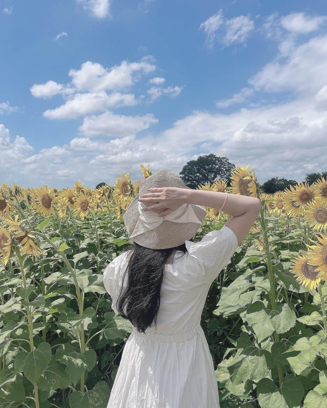 れみぱんのインスタグラム：「絵の中みたいな景色🖼️」