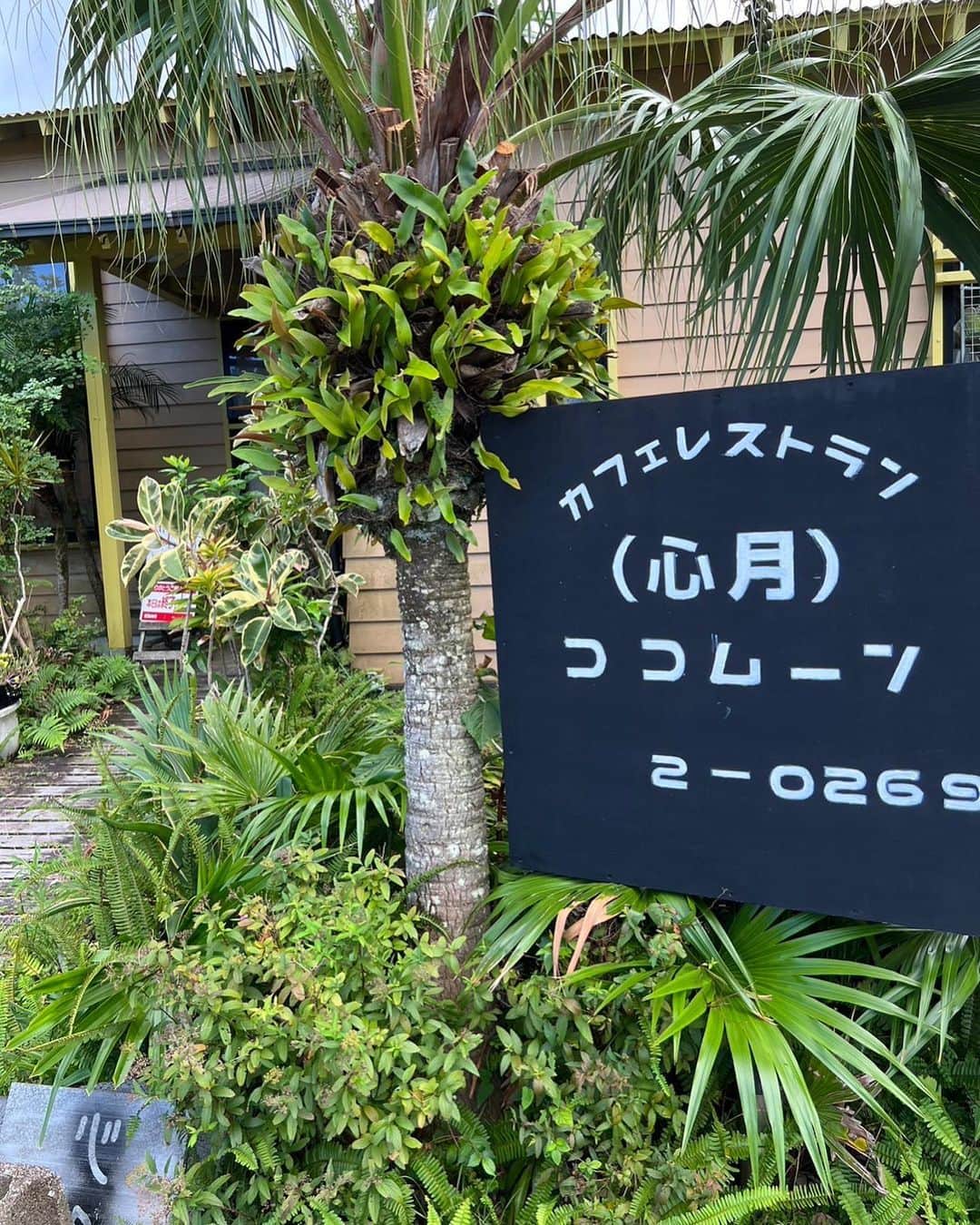 畑中葉子さんのインスタグラム写真 - (畑中葉子Instagram)「八丈島のカフェレストラン・ココムーン（心月）さんにも、畑中葉子デビュー45周年記念新曲 畑中葉子×P.O.P「八丈島からの手紙」のフライヤーを貼っていただきました❣️  ココムーンさん、ありがとうございます!!  ココムーンさんには2014年に遠藤賢司（エンケン）さんと伺って、エンケンさんはカレーを召し上がっておりました。 次回、八丈島へ行ったときには、ココムーンさんのカレーをいただきにお邪魔いたします♡  #ココムーン  #心月  #カフェレストラン  #八丈島 #畑中葉子  #デビュー45周年記念 #新曲 #八丈島からの手紙 #フライヤー」9月15日 12時24分 - hatanaka_yoko