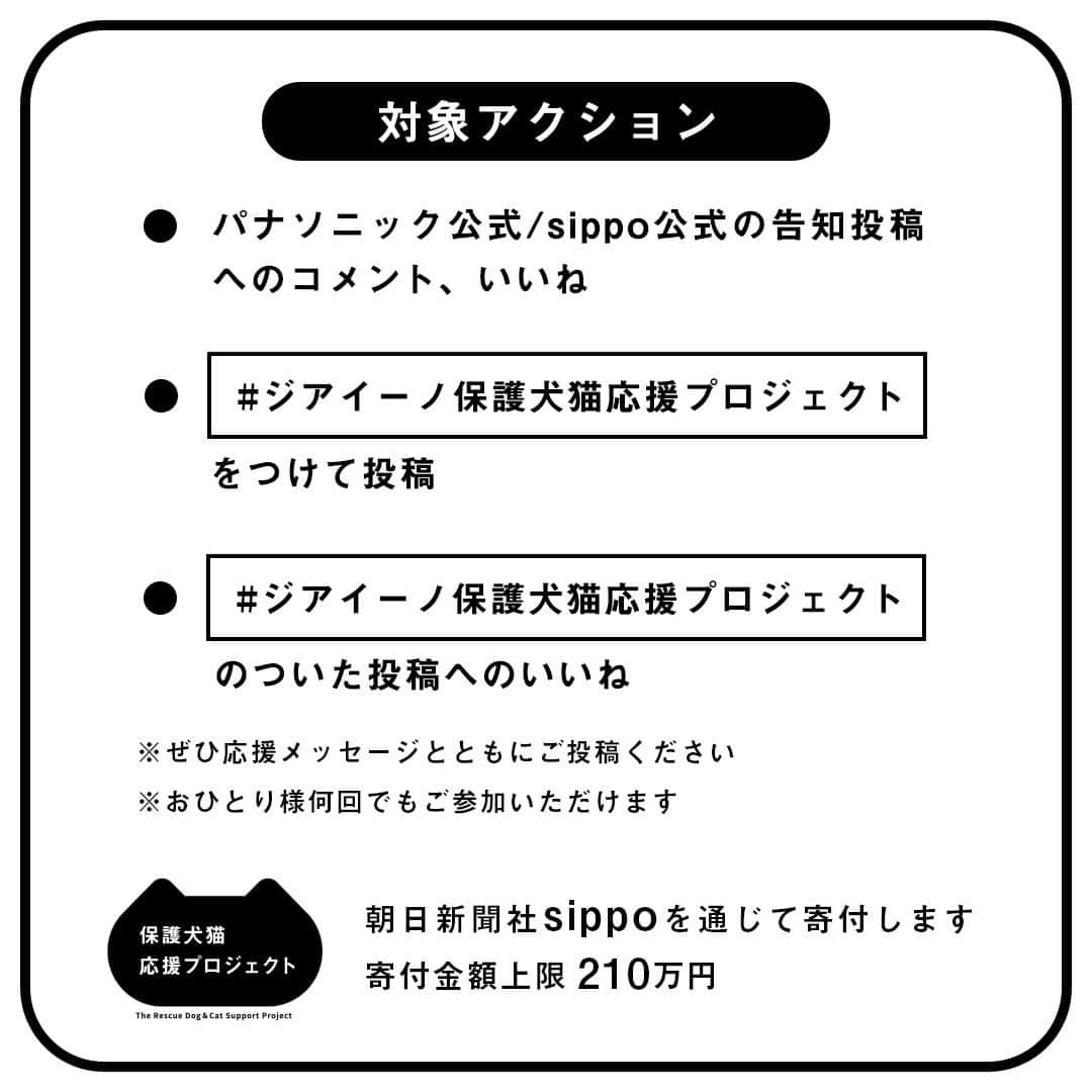 Panasonic ふだんプレミアムさんのインスタグラム写真 - (Panasonic ふだんプレミアムInstagram)「. ／ #ジアイーノ保護犬猫応援プロジェクト 3年目がスタート📢 1アクションにつき12円（ワンニャン）を保護団体に寄付 ＼  ■#ジアイーノ の寄贈 ■保護犬猫譲渡会の開催 などに取り組むパナソニックは今年もSNSアクションに応じた寄付活動をいたします。 あなたも #ジアイーノ保護犬猫応援プロジェクト に参加しませんか？  参加は簡単✨ ■この投稿or @sippo_official の告知投稿 にリアクション（いいね、コメント）or ■#ジアイーノ保護犬猫応援プロジェクト をつけて投稿 or ■＃ のついた投稿にリアクション をするだけ！  ✅10/15（日）まで  ご参加お待ちしています🐶🐱♡  #いぬすたぐらむ #ねこすたぐらむ #いぬのきもち #ねこのきもち #いぬ部 #ねこ部 #犬がいる生活 #猫がいる生活 #保護犬 #保護猫 #にゃんすたぐらむ #わんすたぐらむ」9月15日 13時01分 - panasonicjp