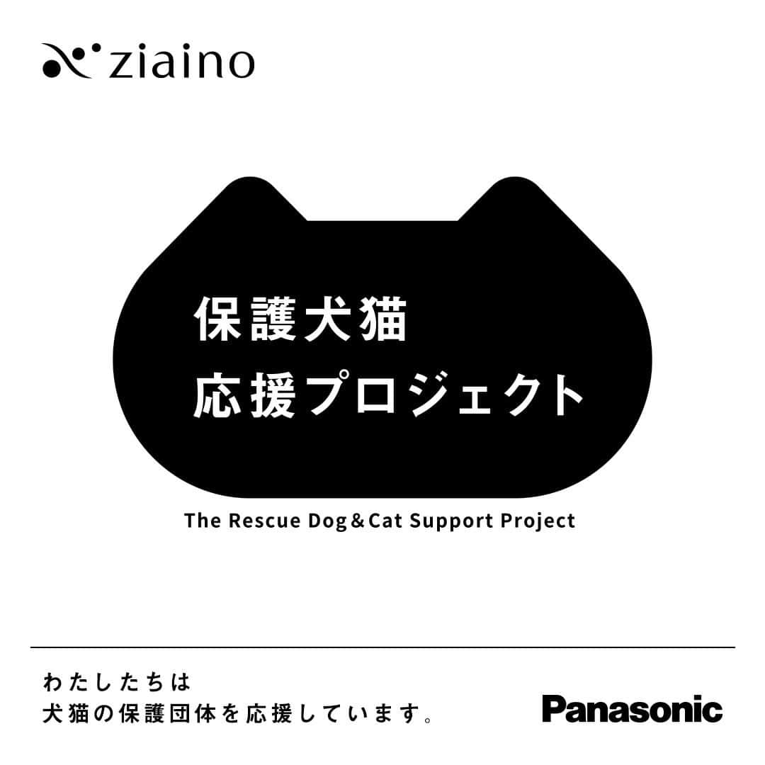 Panasonic ふだんプレミアムのインスタグラム：「. ／ #ジアイーノ保護犬猫応援プロジェクト 3年目がスタート📢 1アクションにつき12円（ワンニャン）を保護団体に寄付 ＼  ■#ジアイーノ の寄贈 ■保護犬猫譲渡会の開催 などに取り組むパナソニックは今年もSNSアクションに応じた寄付活動をいたします。 あなたも #ジアイーノ保護犬猫応援プロジェクト に参加しませんか？  参加は簡単✨ ■この投稿or @sippo_official の告知投稿 にリアクション（いいね、コメント）or ■#ジアイーノ保護犬猫応援プロジェクト をつけて投稿 or ■＃ のついた投稿にリアクション をするだけ！  ✅10/15（日）まで  ご参加お待ちしています🐶🐱♡  #いぬすたぐらむ #ねこすたぐらむ #いぬのきもち #ねこのきもち #いぬ部 #ねこ部 #犬がいる生活 #猫がいる生活 #保護犬 #保護猫 #にゃんすたぐらむ #わんすたぐらむ」