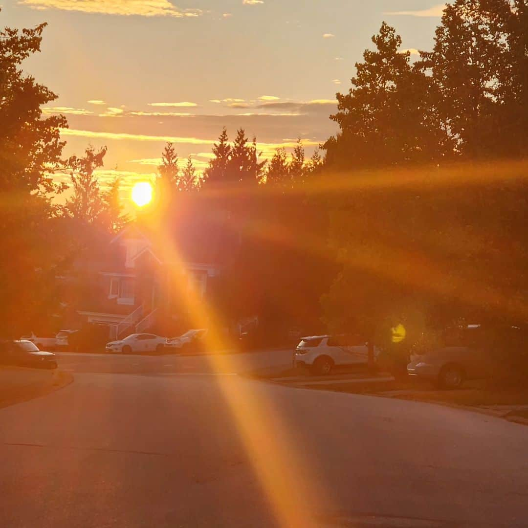 ソン・ソンミさんのインスタグラム写真 - (ソン・ソンミInstagram)「#sunshine # 아름답고 평화롭다」9月15日 13時31分 - song_sunmi_