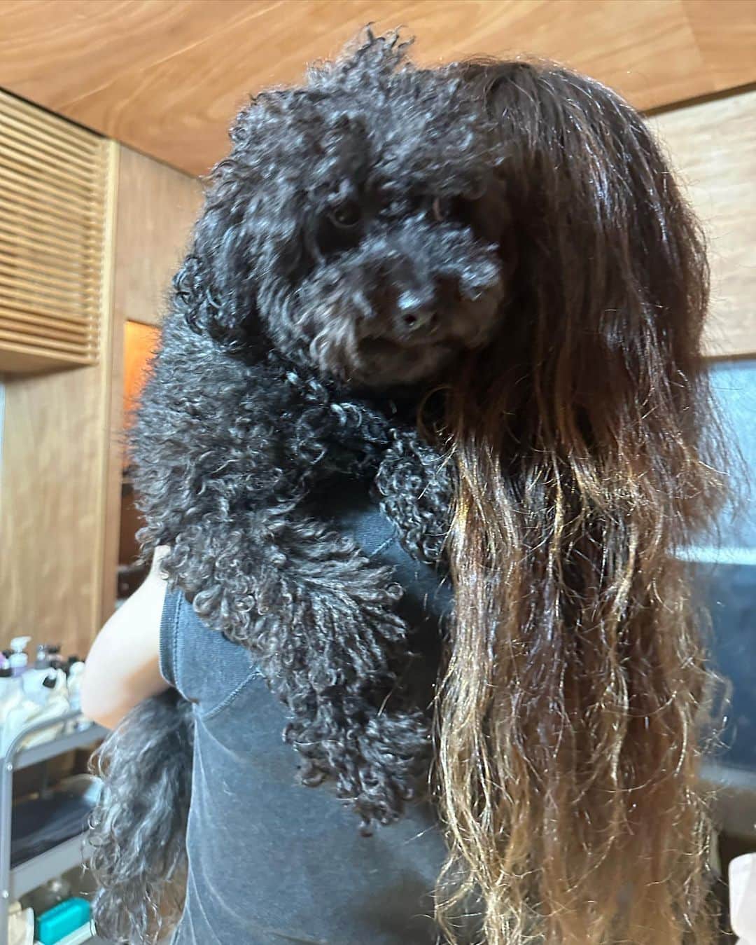 中嶋イッキュウさんのインスタグラム写真 - (中嶋イッキュウInstagram)「🌱🌱🌱」9月15日 13時56分 - ikkyu193
