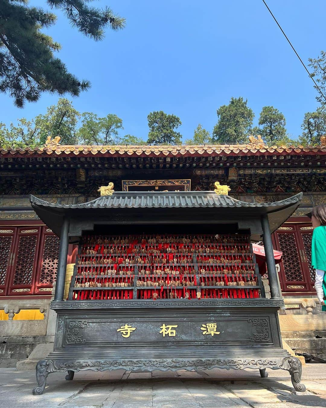 ザカリー・ダナヒューさんのインスタグラム写真 - (ザカリー・ダナヒューInstagram)「Went to visit a Buddhist Temple today with my friends and colleagues. Such beautiful architecture and stone work. It was a unique experience to see so many different small prayer temples, some with multiple Buddhas, and was very interesting to watch the people pray and to try and catch a glimpse from outside these prayer areas. I say outside, and don’t have pictures from inside, because even though I was assured I could go into look, I felt it would be disrespectful as the point of entry is to bow and pray and I will not bow before any god but Yahweh. Still, serene and peaceful, this was a beautiful experience and gave me an even deeper glimpse into the complex Chinese culture. I am so very grateful to have these experiences in my life. To travel and see the world and different cultures. Thank you God for the many blessings you pour into my life 🙏  #tourist #tourism #temple #china #」9月15日 14時02分 - zachtdonohue