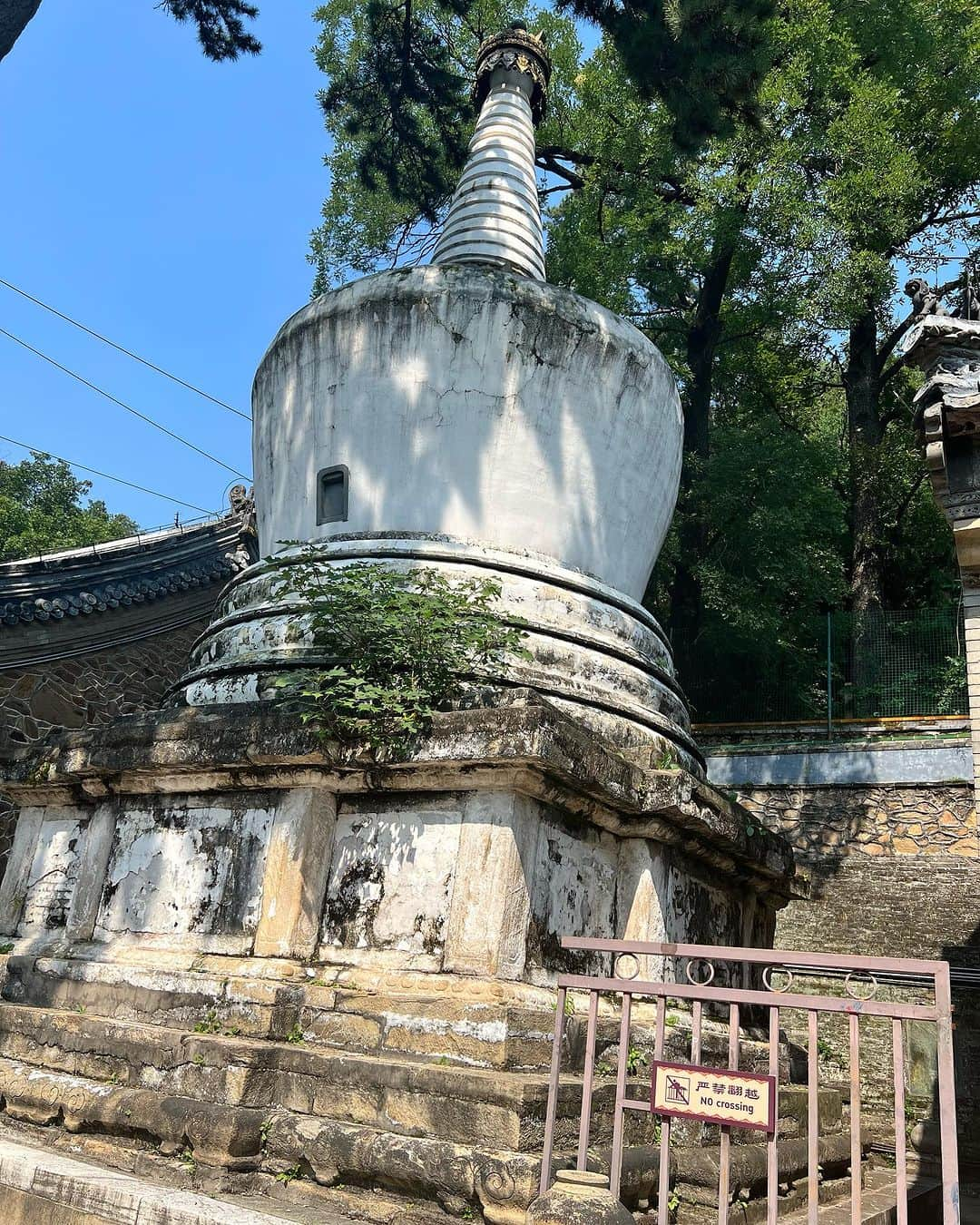 ザカリー・ダナヒューさんのインスタグラム写真 - (ザカリー・ダナヒューInstagram)「Went to visit a Buddhist Temple today with my friends and colleagues. Such beautiful architecture and stone work. It was a unique experience to see so many different small prayer temples, some with multiple Buddhas, and was very interesting to watch the people pray and to try and catch a glimpse from outside these prayer areas. I say outside, and don’t have pictures from inside, because even though I was assured I could go into look, I felt it would be disrespectful as the point of entry is to bow and pray and I will not bow before any god but Yahweh. Still, serene and peaceful, this was a beautiful experience and gave me an even deeper glimpse into the complex Chinese culture. I am so very grateful to have these experiences in my life. To travel and see the world and different cultures. Thank you God for the many blessings you pour into my life 🙏  #tourist #tourism #temple #china #」9月15日 14時02分 - zachtdonohue