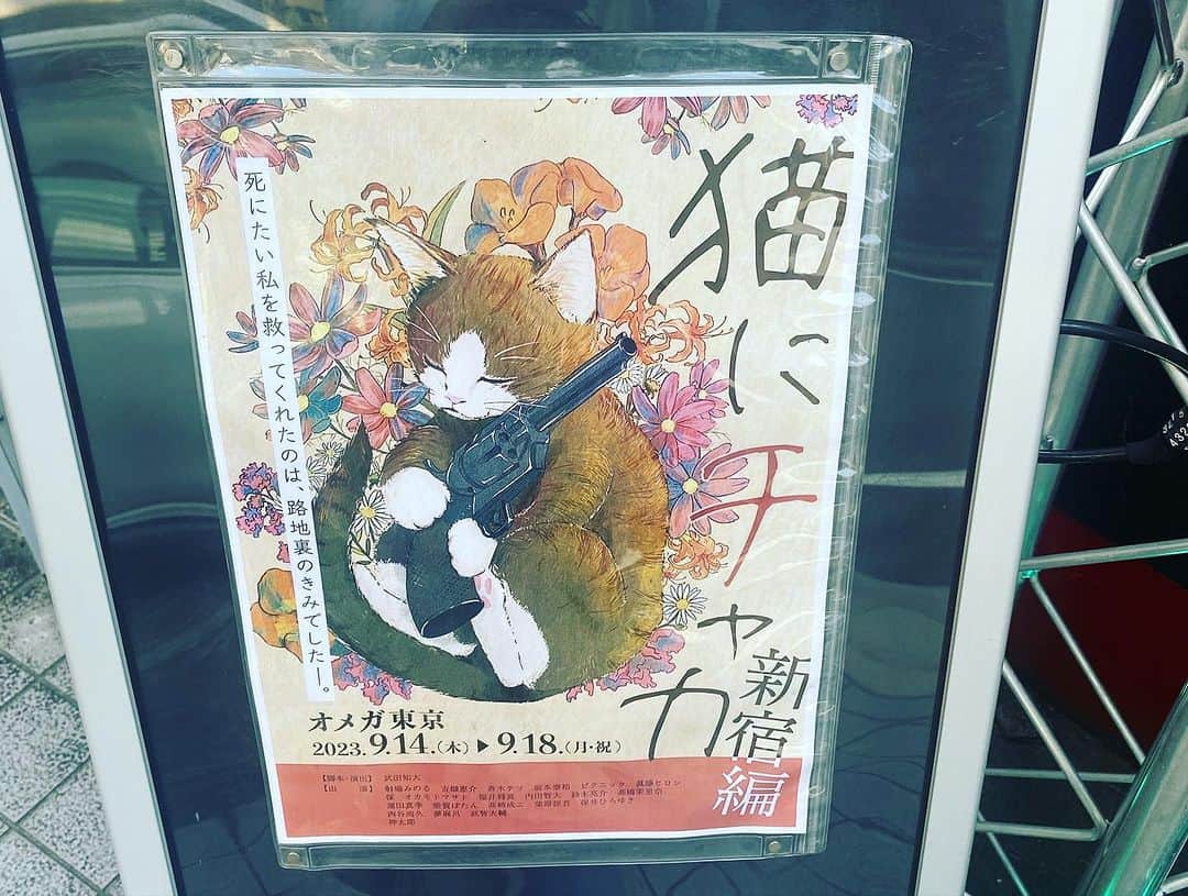 日出郎さんのインスタグラム写真 - (日出郎Instagram)「猫にチャカ日替りゲスト  後輩の武田知大くん、作・演、プロデュースの舞台「猫にチャカ」初日に日替りゲストで出させて頂きましたぁー!!!  劇場は荻窪にあるOMEGA東京! 美少年のBLモノを観にきたことありますねぇ  「猫にチャカ」可愛いくて怖いタイトルのまま、 奇想天外なストーリー、手練手管な役者さん達が、本当にテンポ良く笑わせてくれるコメディでした☆  同い年の夢麻呂さん、芸人のピクニックさんと場面で絡ませて頂き、上手く料理されました笑  楽屋では、神太郎先輩に70年代の新宿や2丁目の様子、当時の役者さんの事など伺ってたら、なんと、御年81歳との事!!! み、見えない! 20歳以上も先輩で現役だぁ〜  私も「踊れなくなった」「長ゼリが大変」なんて言ってられないなぁ汗 お話させて頂き、大変、勉強になりました!  そして、武智大輔先輩、渡辺智子選手ご夫妻!  武智さんは舞台の楽屋がいつも、お隣で仲良くさせて頂き、ともちゃんは、デビュー戦の頃から女子プロの先輩達とショーを観にきてくれてたので、お付き合いが長くなりました♪ ここでも話の内容は"健康" なんだかなぁ〜汗  猫にチャカ  2023年9月、アジア最大の歓楽街、新宿歌舞伎町界隈で猫が次々と襲われると言う奇妙な事件のニュースが世間を賑わせていた。 そんな時…新宿の片隅、二丁目の端っこに事務所を構える暴力団「漆原組」は前代未聞のピンチを迎えていた！ 対する新宿の中心、歌舞伎町に事務所を構える「末廣組」…もまさかのピンチを迎えていた！？ そこに巻き込まれる、UberEATS配達員の山田、新宿二丁目BAR「ラブリーボーイズ」の河合と高杉や街行く人々。彼らは巻き込まれたのか？巻き込まれに行ったのか！？猫たちの運命は！？  9/18(月祝)まで  https://stage.corich.jp/stage/277299#  #日出郎 #猫にチャカ #日替りゲスト出演」9月15日 14時04分 - hiderou1030