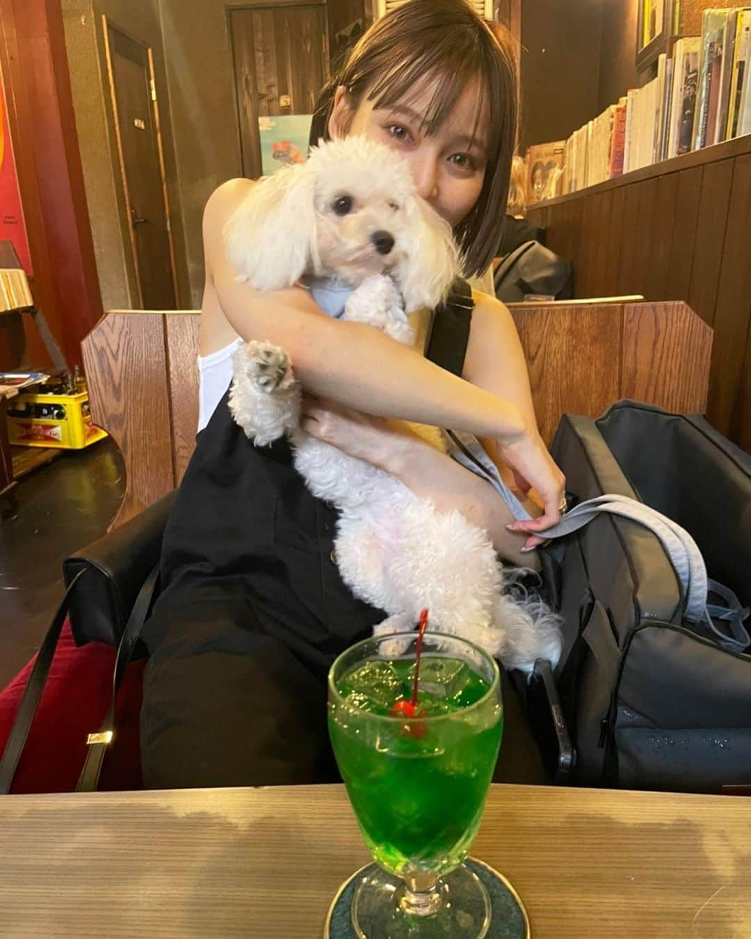 高橋野乃子さんのインスタグラム写真 - (高橋野乃子Instagram)「． おでかけちーず🐩🤍  ご飯 美容 お仕事  全部付き合ってくれてありがとう マイエンジェル🐩🤍🤍  #わたしが大食いだった日 #わんこのいる生活  #わんことお出かけ   #思い出 #まるぷー  #マルプー」9月15日 23時39分 - _nonstyle_