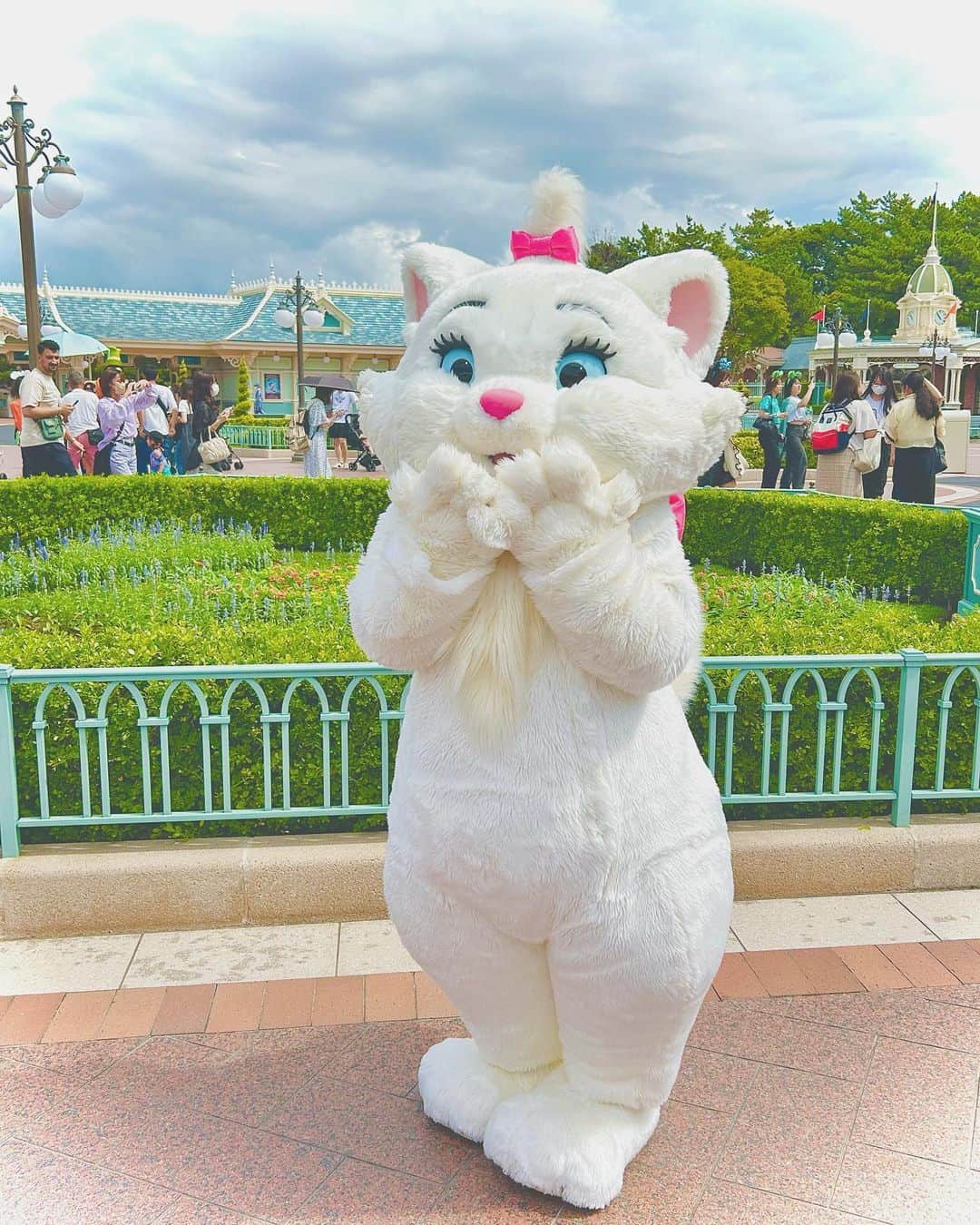 のインスタグラム：「わたしマリーちゃんすき！！！！！！🤍🎀 . #ディズニー #ディズニーランド #夢の国 #おしゃれキャット #マリーちゃん」