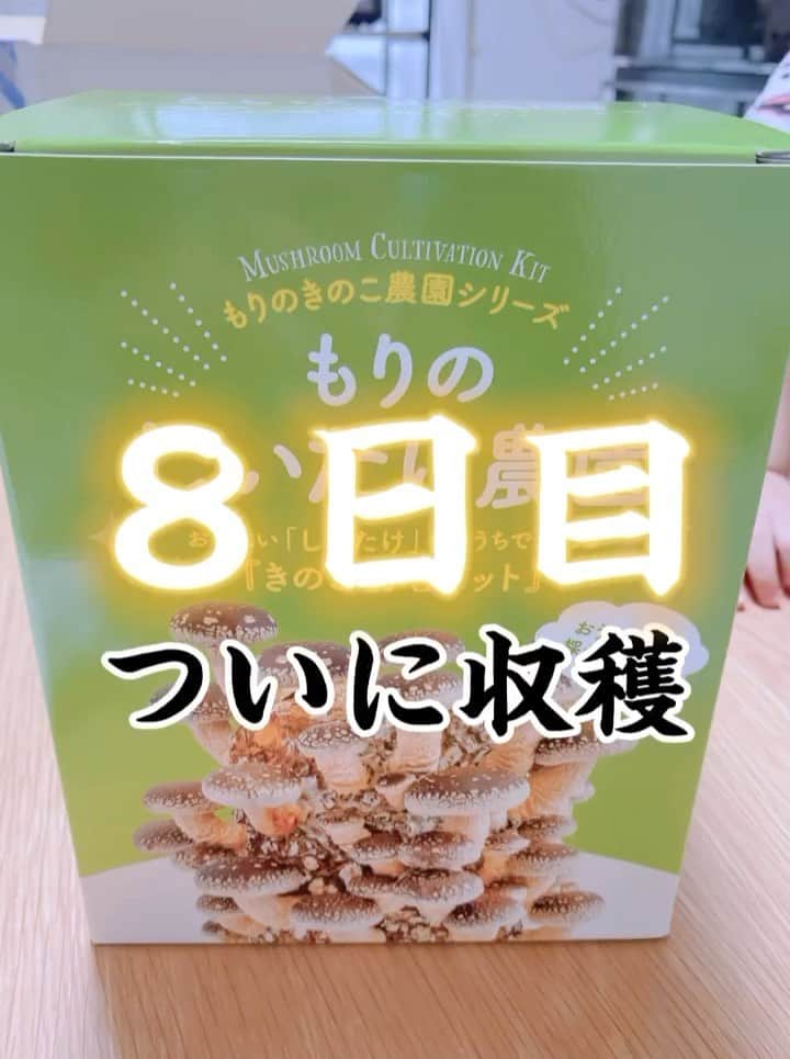 鈴木りんだのインスタグラム：「８日目。ついに収穫。 #椎茸栽培 #嫌いな物を克服しよう計画 #編集疲れた」