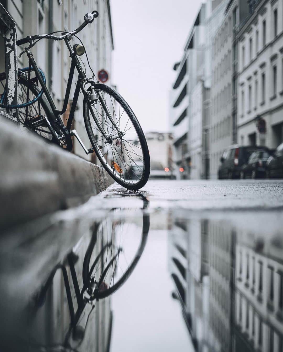 Thomas Kakarekoさんのインスタグラム写真 - (Thomas KakarekoInstagram)「A random collection from my archives: Berlin in all its seasonal glory. Moments captured throughout the year, showcasing the city’s ever-changing face. #berlin」9月15日 16時08分 - thomas_k