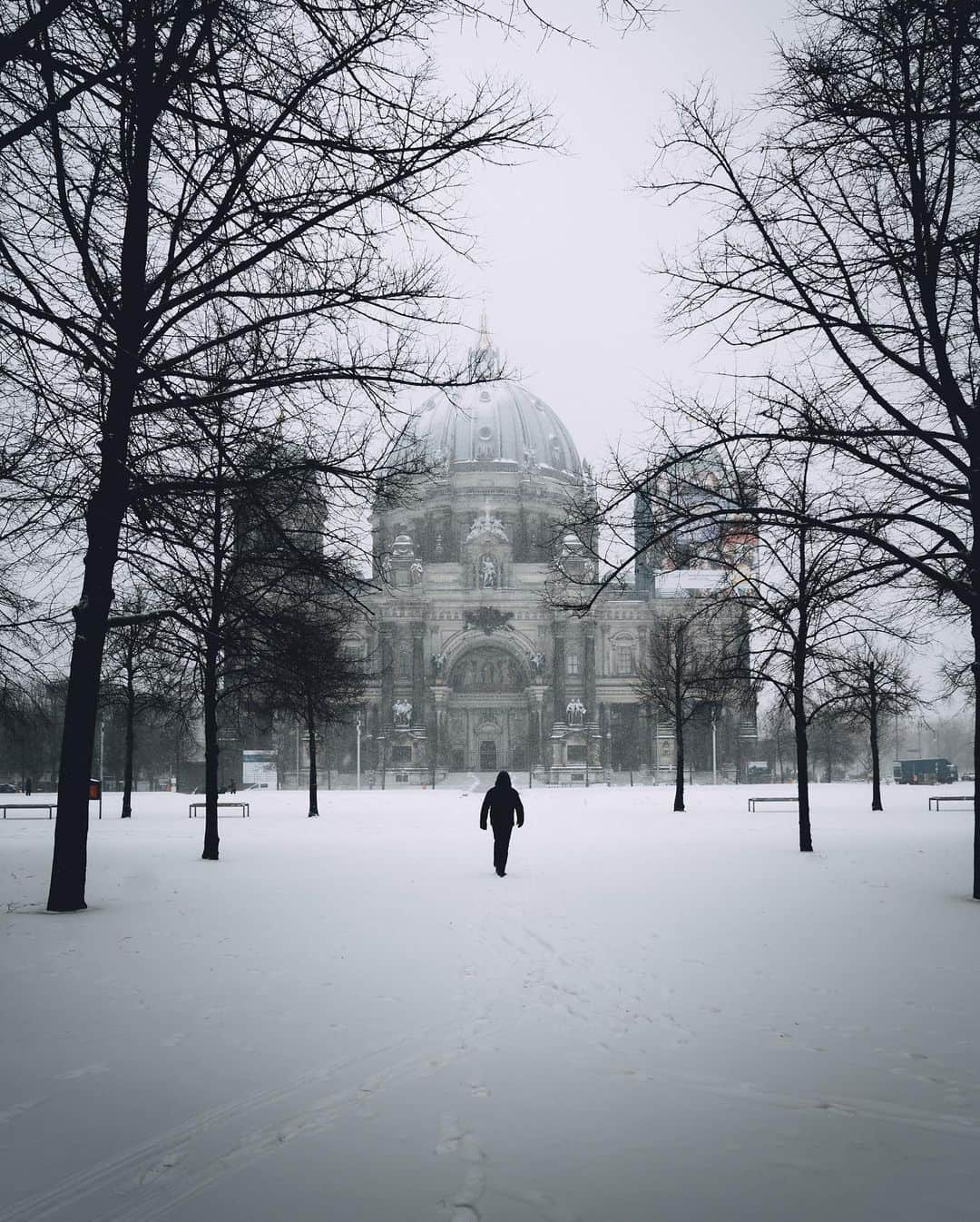 Thomas Kakarekoさんのインスタグラム写真 - (Thomas KakarekoInstagram)「A random collection from my archives: Berlin in all its seasonal glory. Moments captured throughout the year, showcasing the city’s ever-changing face. #berlin」9月15日 16時08分 - thomas_k